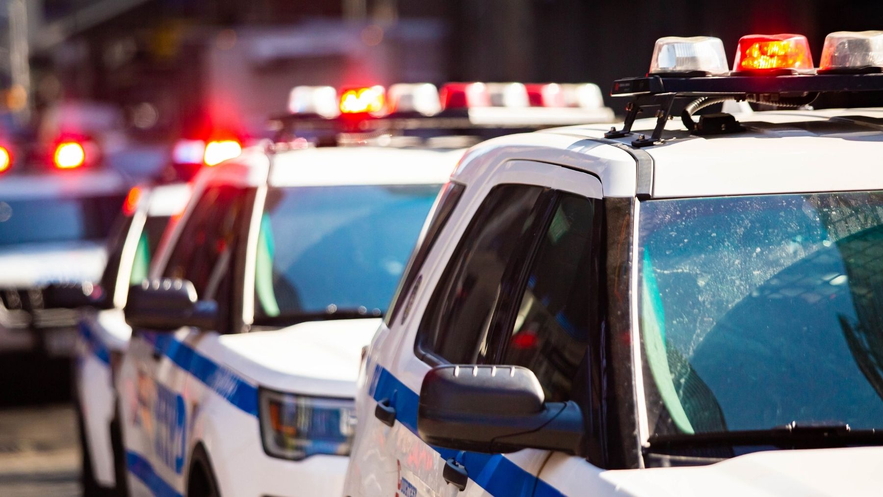 What seemed like a routine inspection ended with a tow truck and driver is fined for using fake hand-drawn stickers