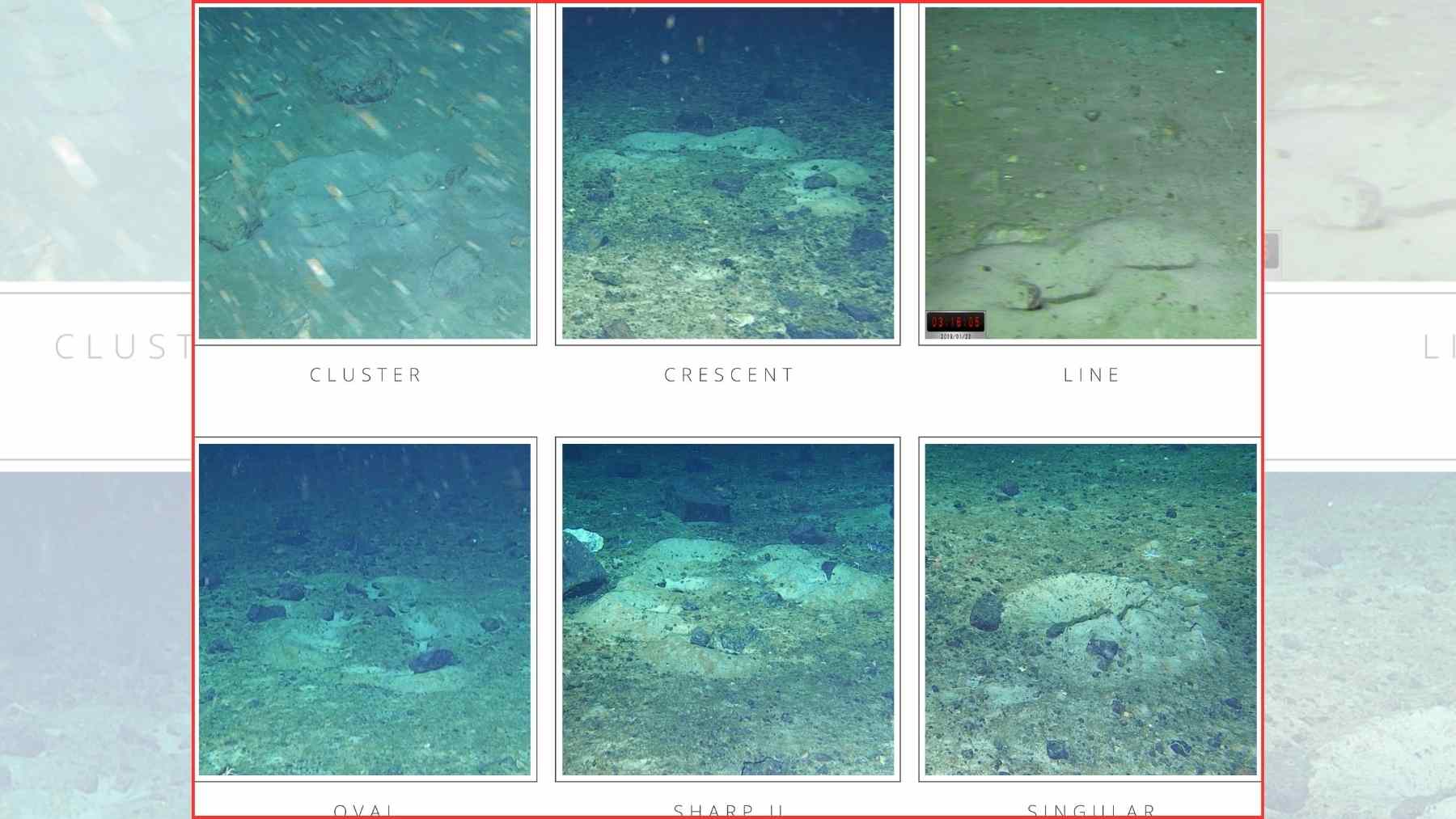 They were searching for Shackleton's ship… and found a gigantic “ghost town” of fish hidden under the ice