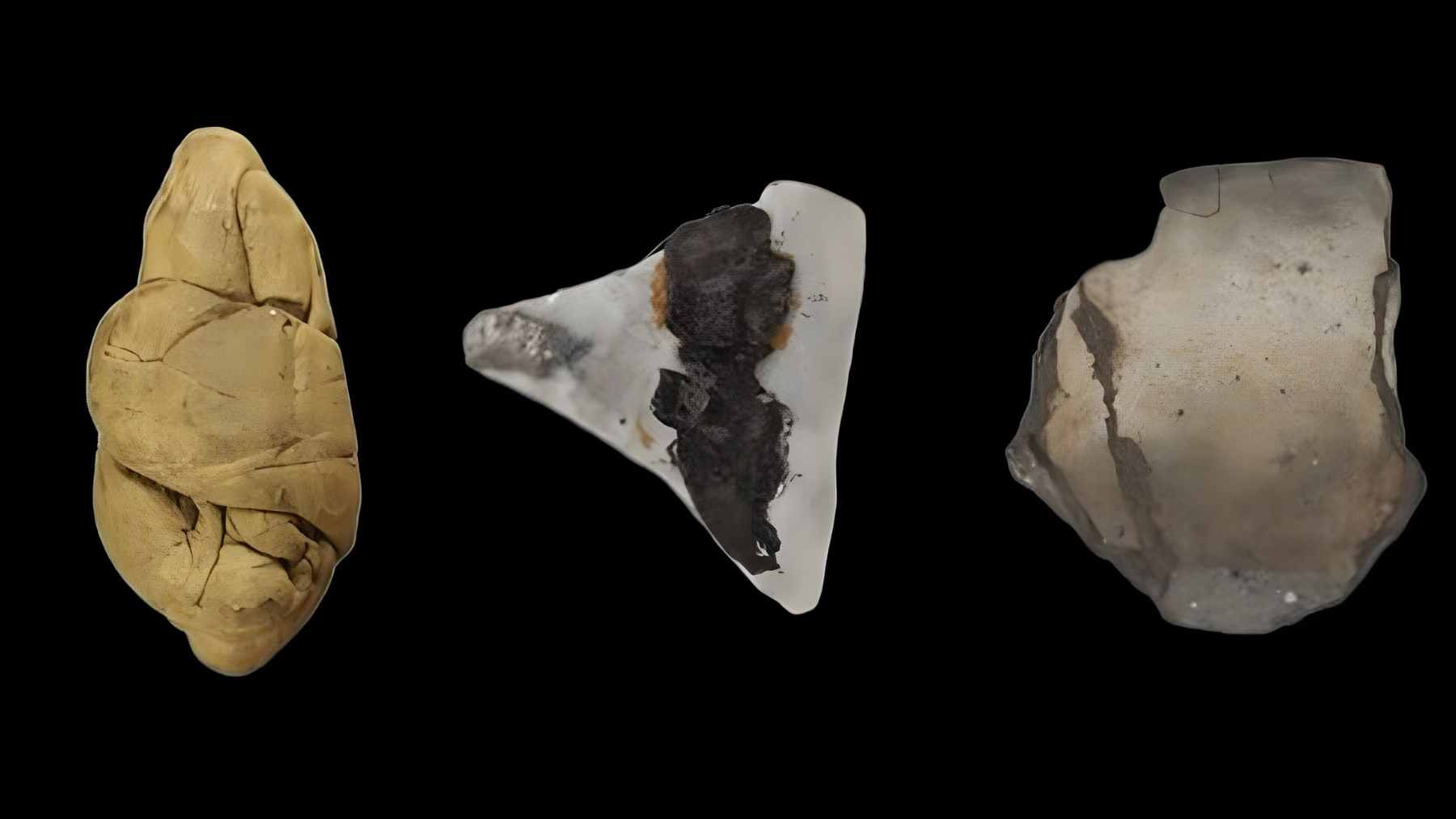 Three Neolithic birch bark tar pieces on a black background, including a chewed lump, a tar-stained fragment, and a tar-repaired shard.