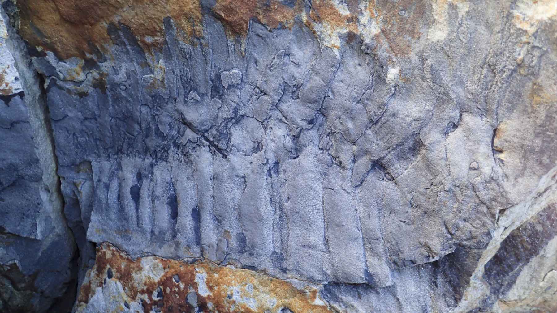 A landslide on an English beach uncovered something impossible: a millipede the size of a car that lived before the dinosaurs