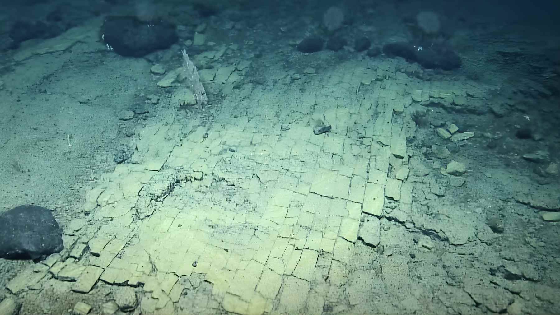 ROV camera view of a “yellow brick road” pattern on the seafloor at Nootka Seamount inside Papahānaumokuākea Marine National Monument.