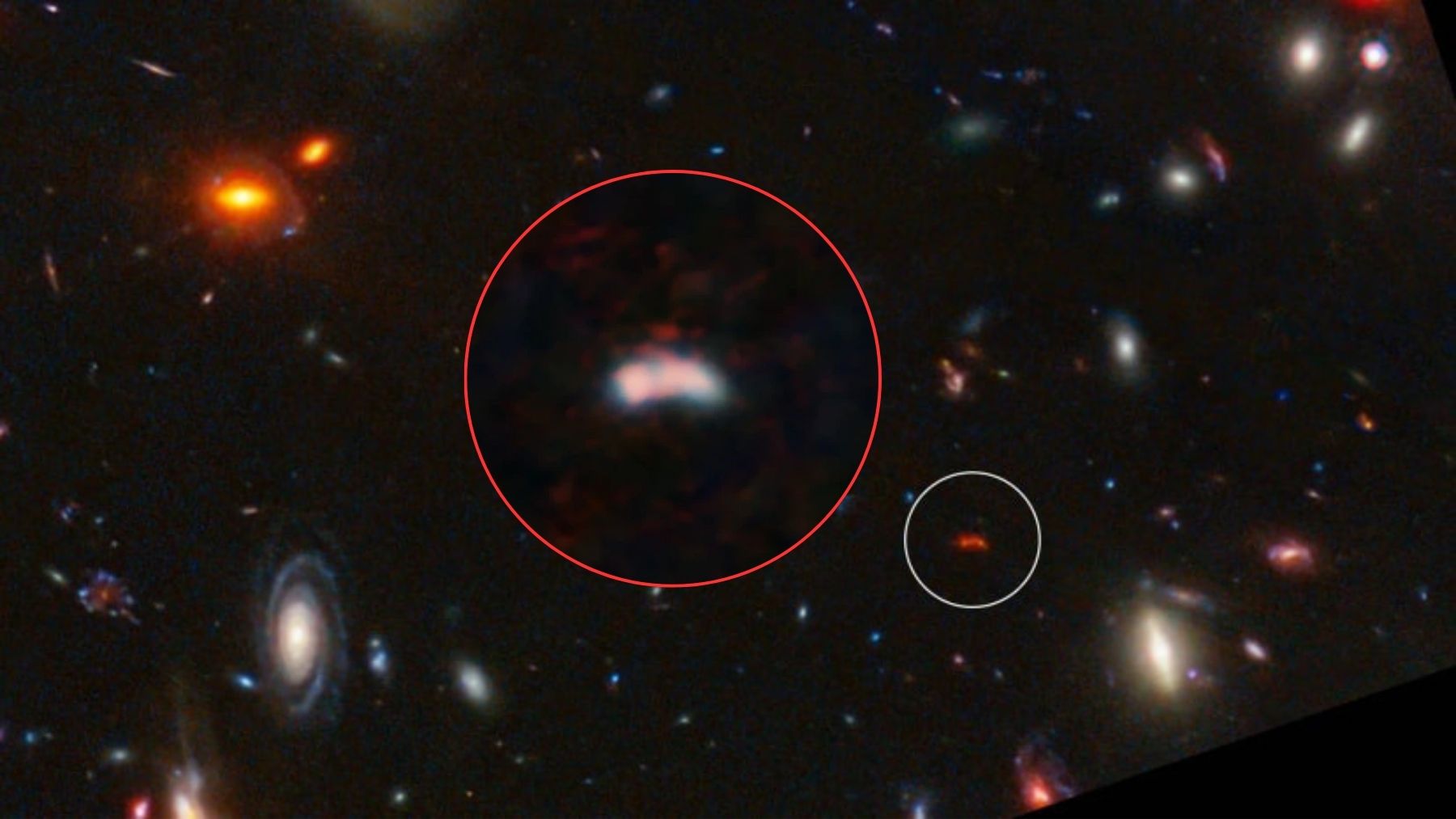 JWST view of the MACS0416 galaxy cluster field with the distant galaxy Y1 circled, plus a zoomed-in close-up
