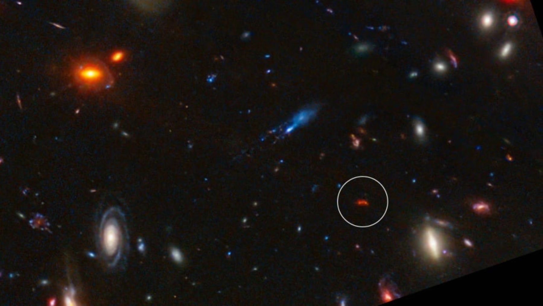 Zoomed-in close-up of the distant galaxy Y1, appearing as a compact reddish arc against a dark background