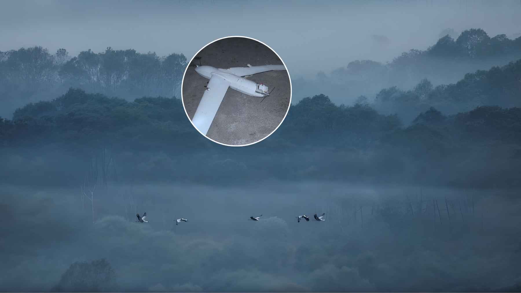 Composite image showing a misty forest with migrating birds and an inset photo of a small drone on the ground.