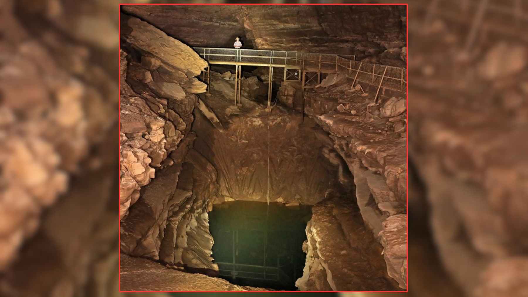 Mammoth Cave National Park interior showing a deep vertical shaft and catwalk, where a ranger helped spot ancient shark fossils in the ceiling rock