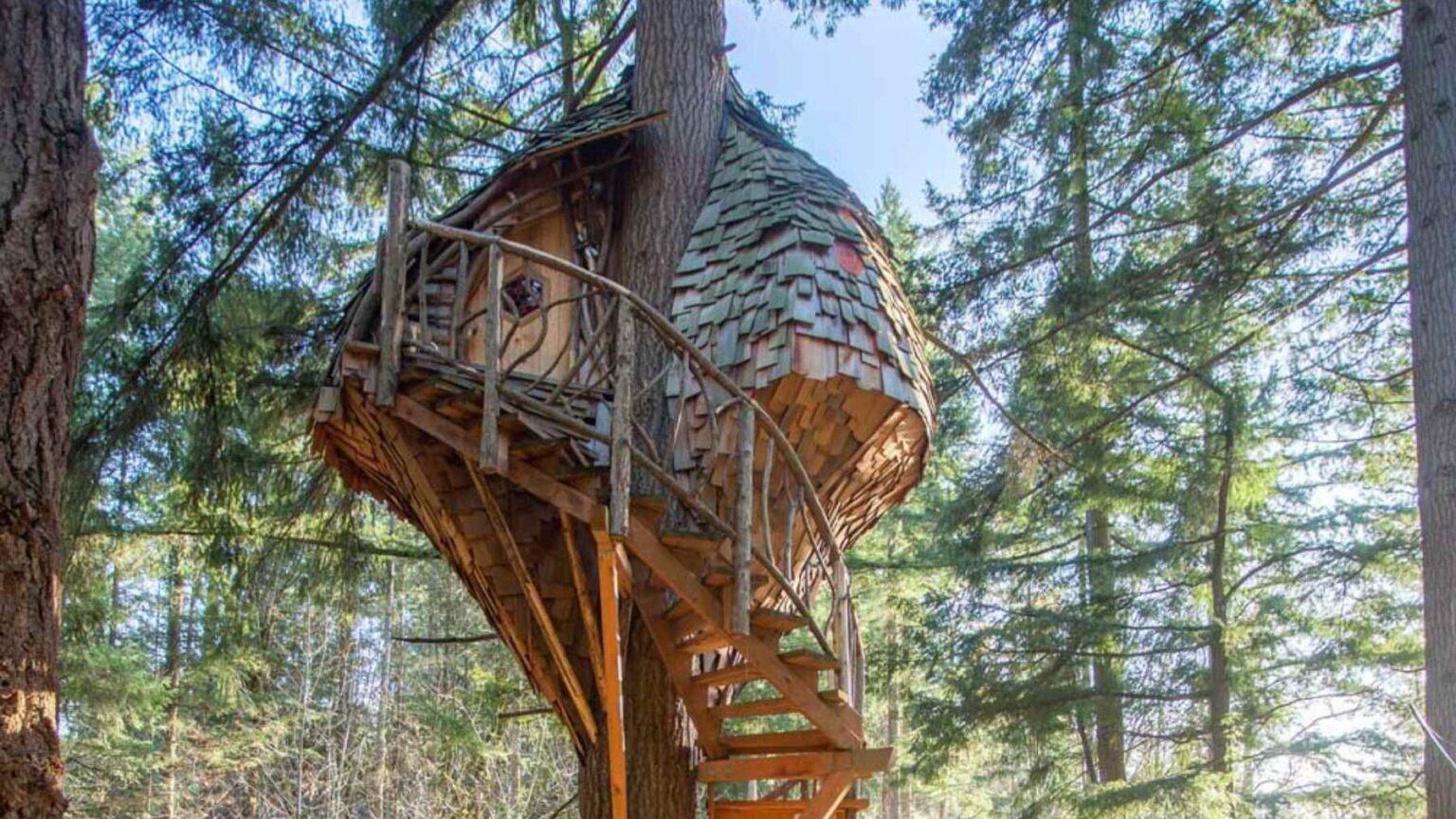A man spent months in silence in the forest and built a multi-level ...