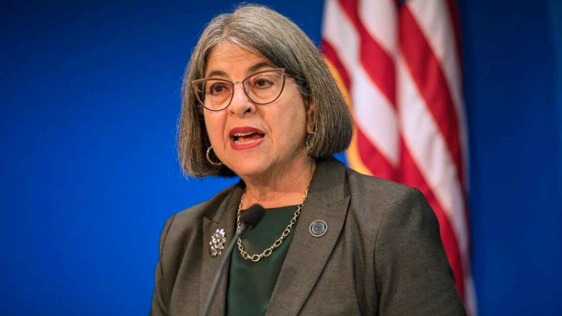 Miami-Dade Mayor Daniella Levine Cava speaks at a podium with a U.S. flag behind her.