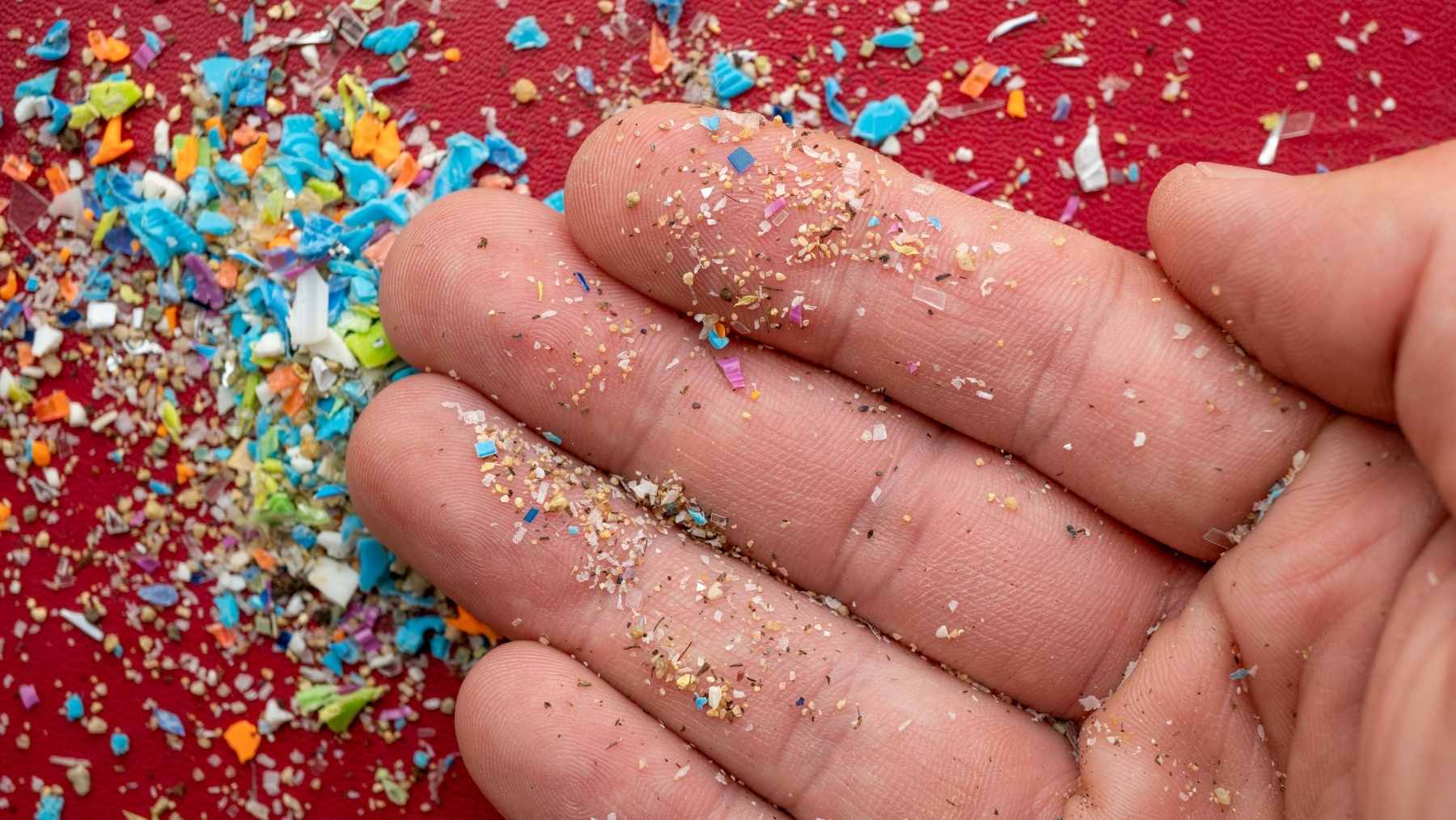 Tiny multicolored plastic fragments and particles on a human hand, illustrating microplastics detected in human brain tissue.