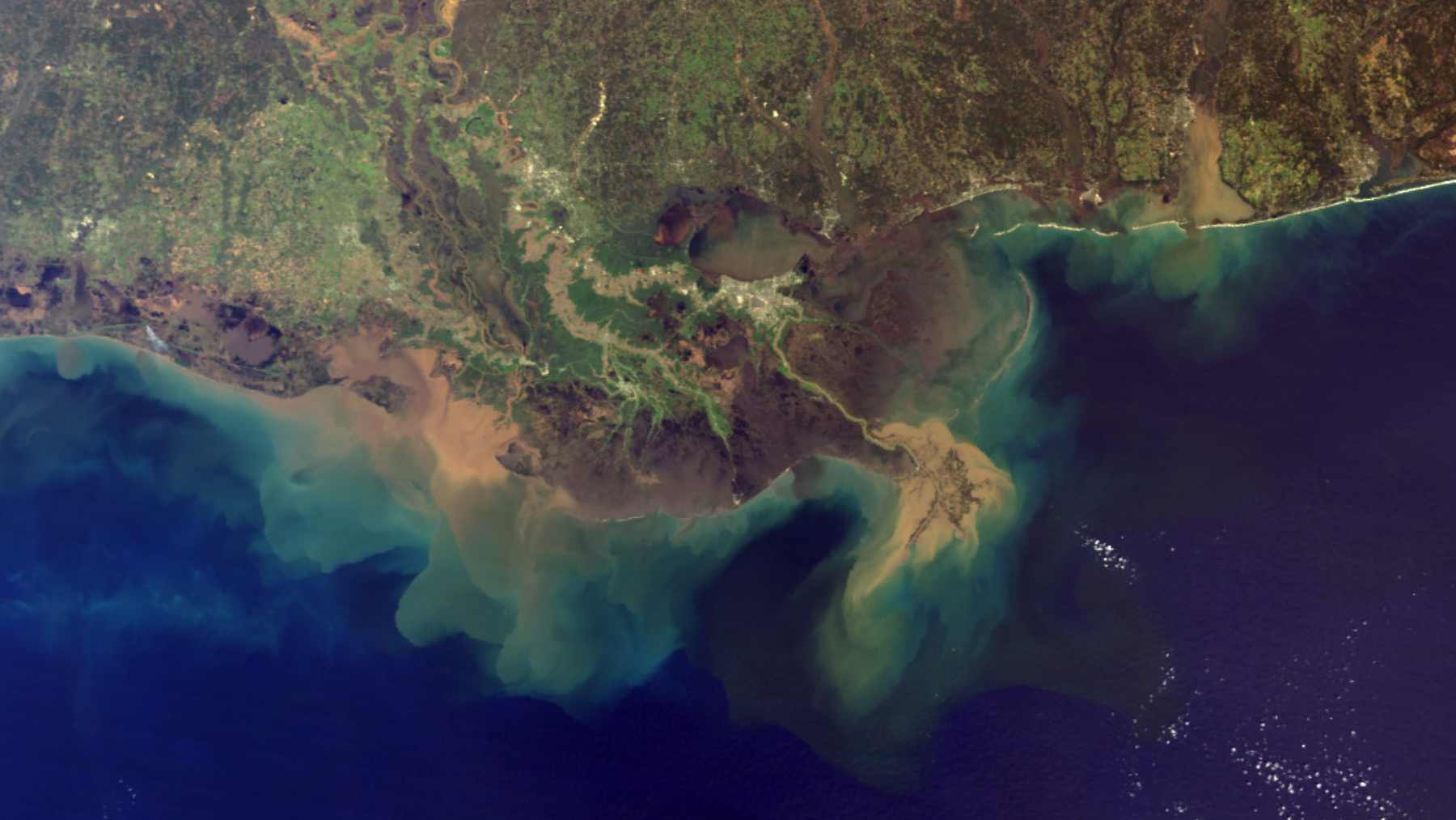 Satellite image of the Mississippi River delta with a broad sediment plume spreading into the Gulf of Mexico.
