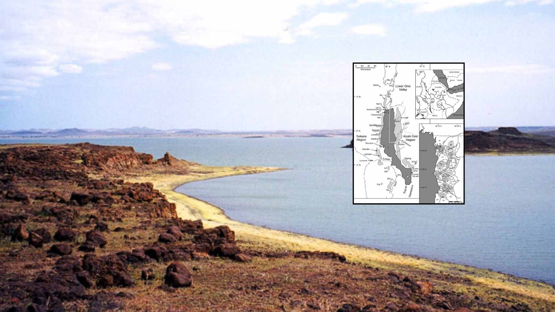 Arid shoreline of Lake Turkana with Omo–Turkana Basin map, where a 1,231-fossil catalog reveals major gaps in the record.