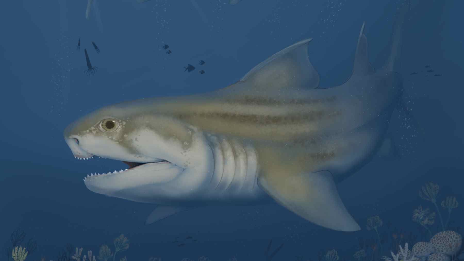 Illustration of an ancient ctenacanth shark swimming in a shallow sea, like the predators whose fossils were found in Mammoth Cave rock