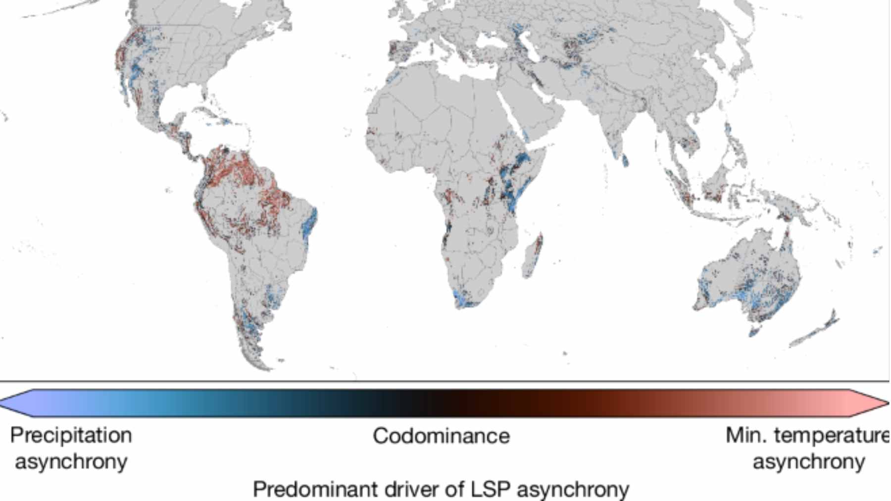 Global satellite map showing seasonal asynchrony and misaligned plant growth cycles across continents.