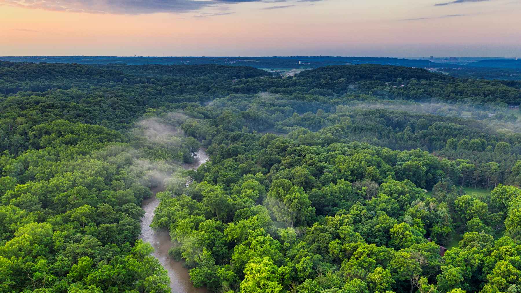 Aerial view of a forest river at sunrise, symbolizing how rising CO2 changes tree stomata, water use, and carbon uptake.