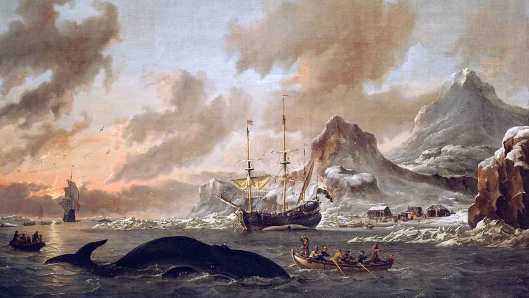 They spent the deadliest winter of the 17th century in a makeshift cabin eating whale blubber, not knowing if anyone would ever come back to rescue them 1 Ruins of a 17th-century whaling station in Svalbard where stranded sailors survived the Arctic winter of 1630
