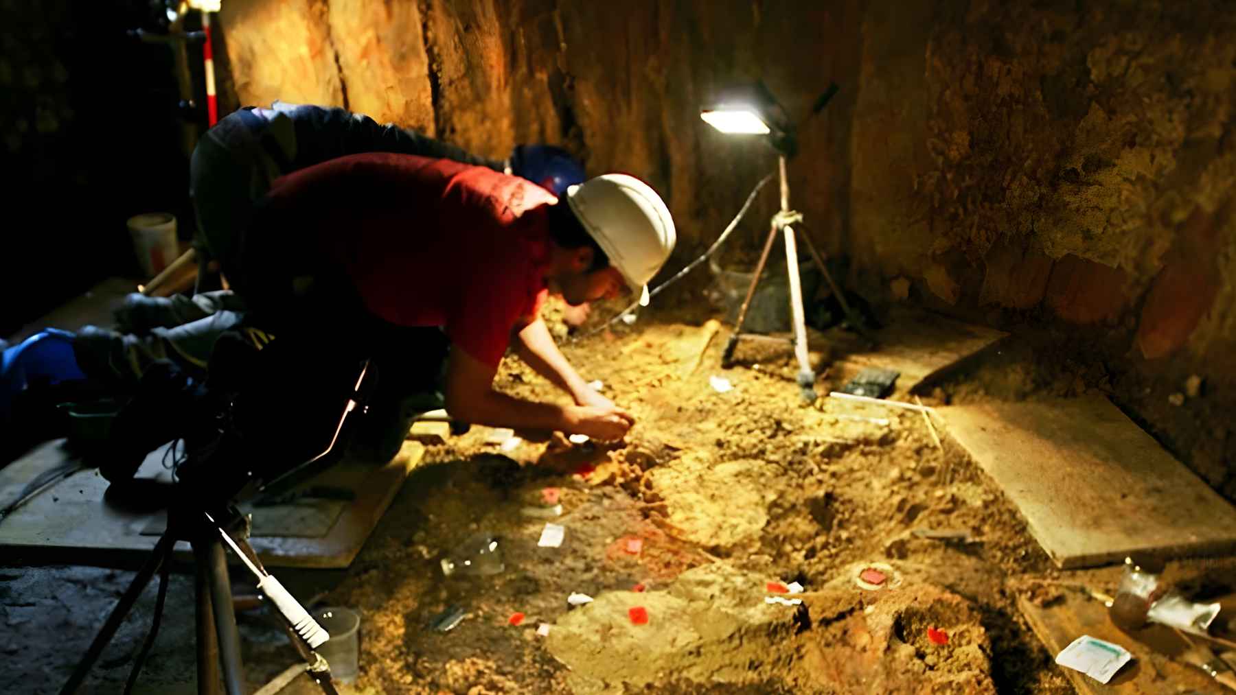 Copper Age shell beads recovered from a 5,000 year old female burial at the Montelirio tholos in Spain