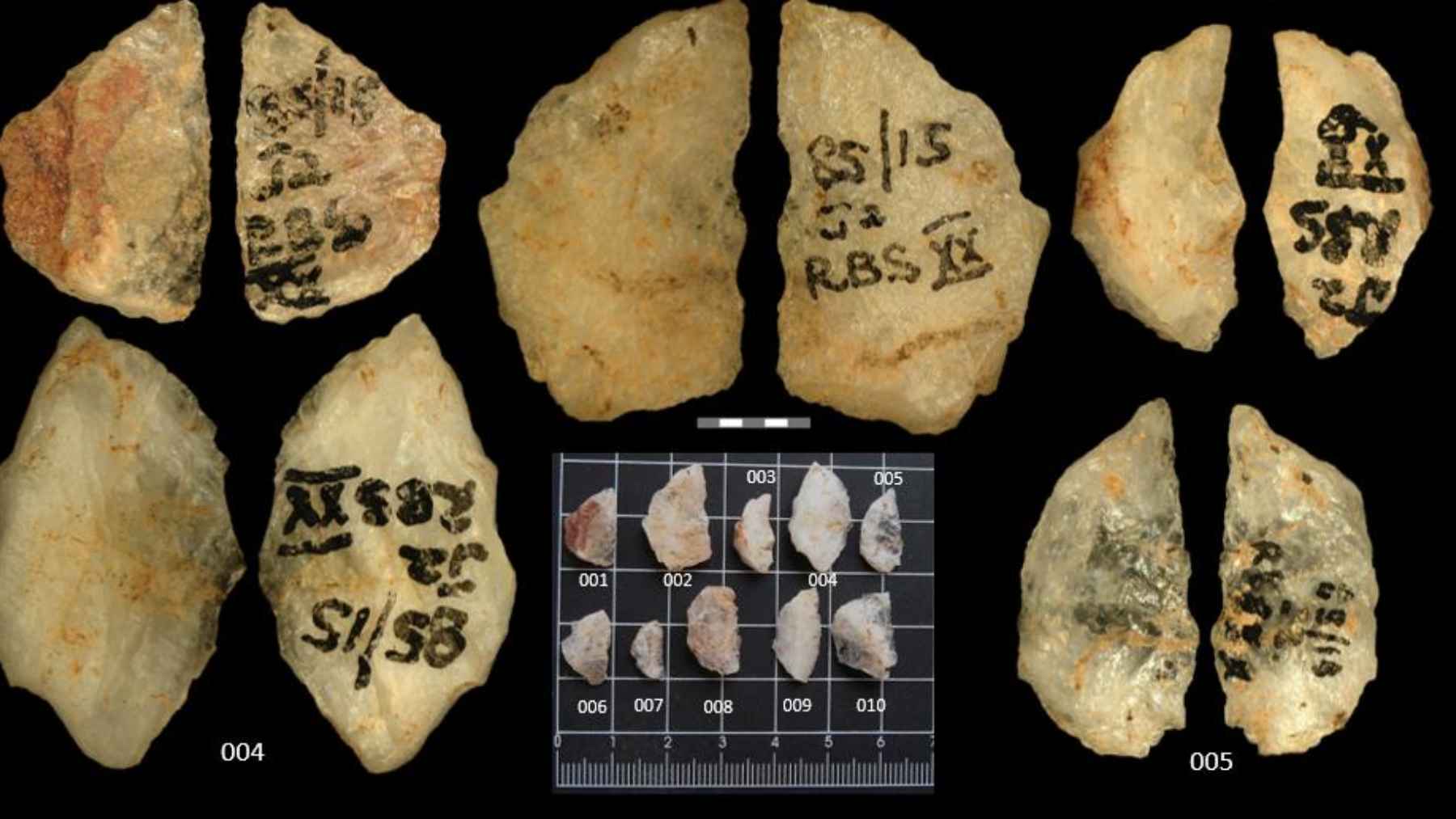 Stone age quartz arrowheads from South Africa bearing traces of ancient plant based poison