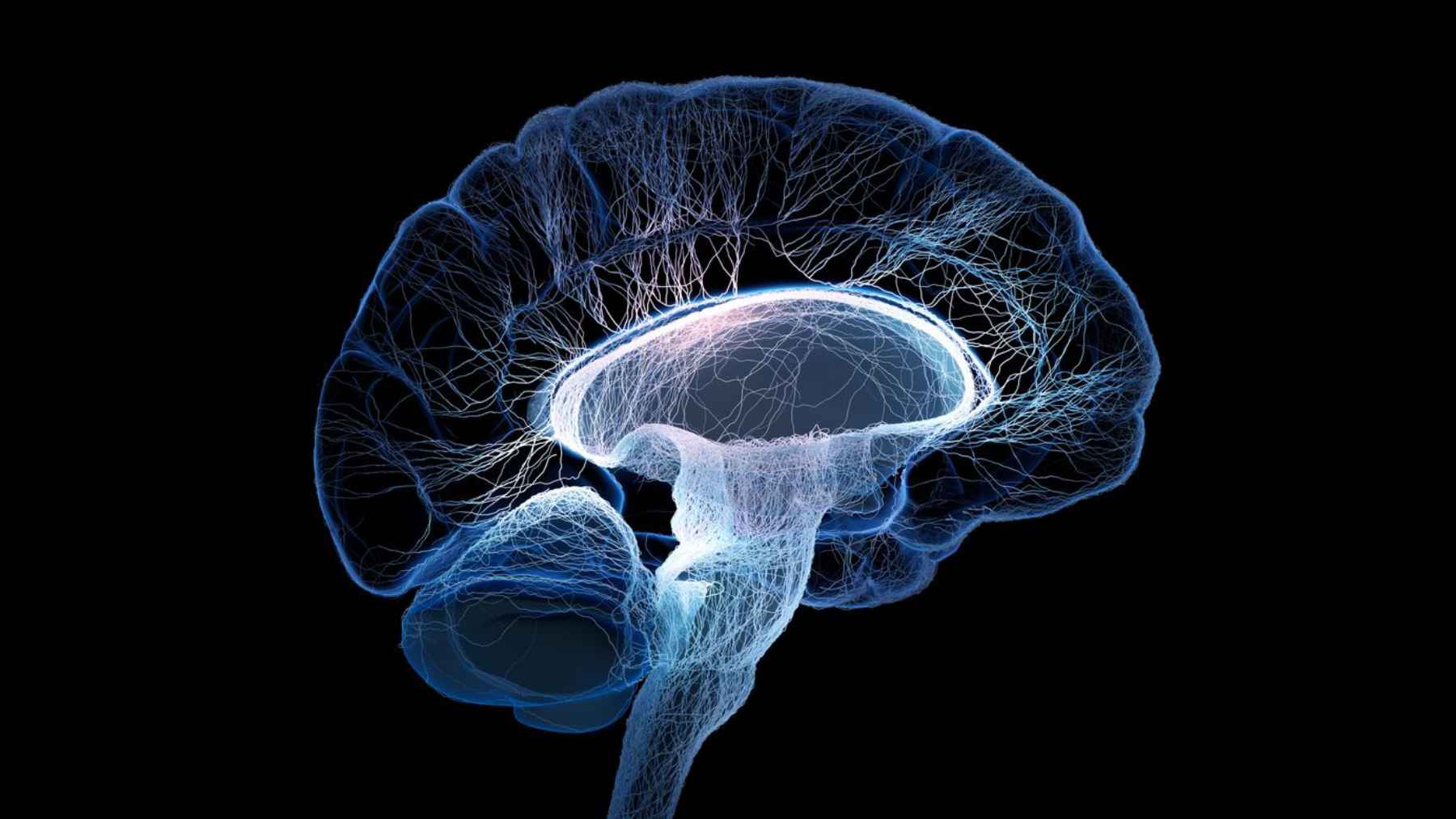 Illustration of aging brain cells showing changes in neuron state and identity over time