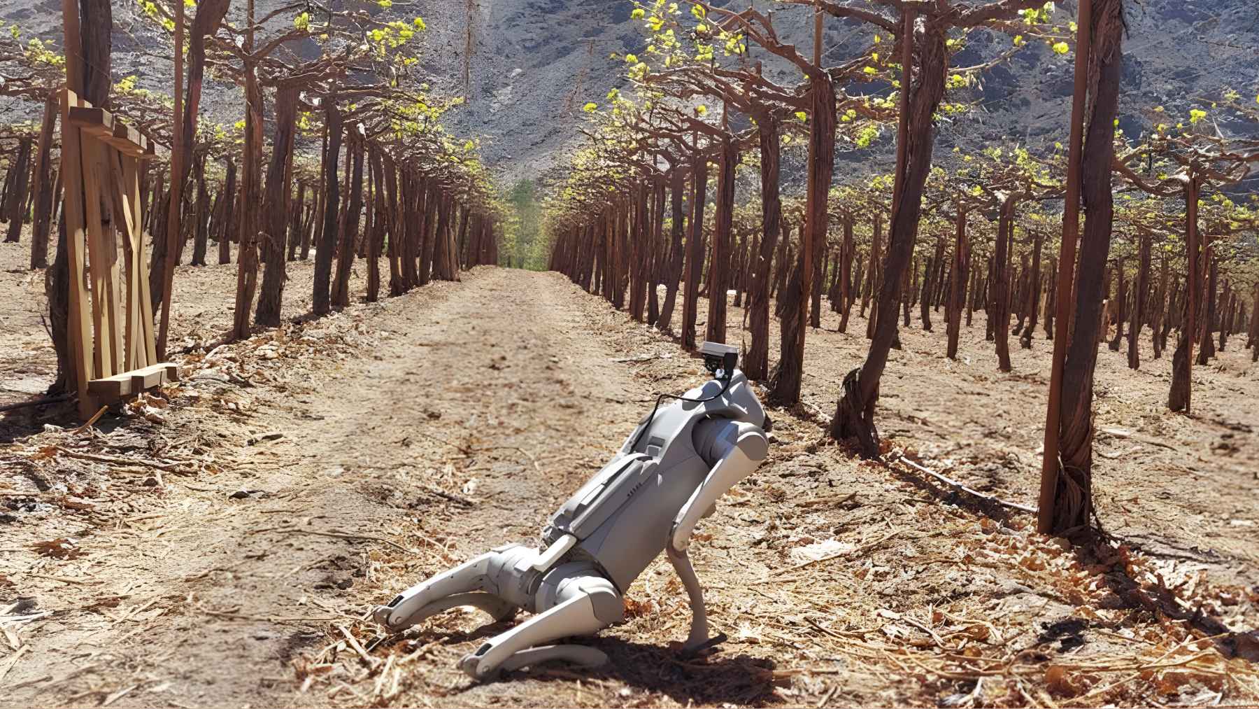 AI powered robot dog walking through orchard rows while scanning fruit crops and collecting real-time data