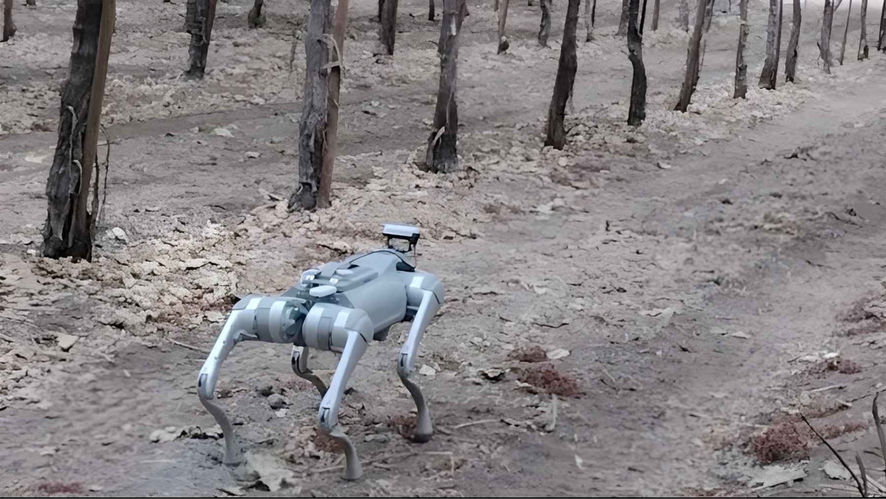 Four legged robot dog walking through an orchard row, using sensors and cameras to monitor crops and collect field data.