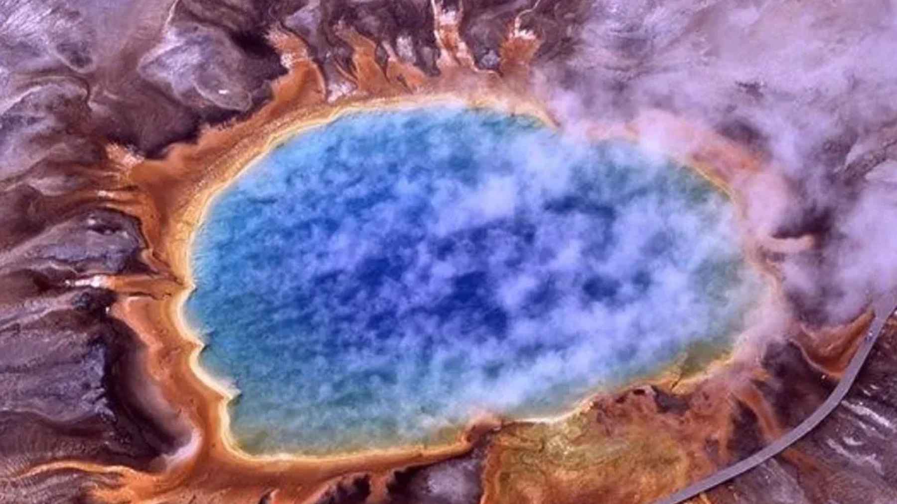 Microscopic view of Asgard archaea, the marine microbes linked to the origin of all complex life on Earth