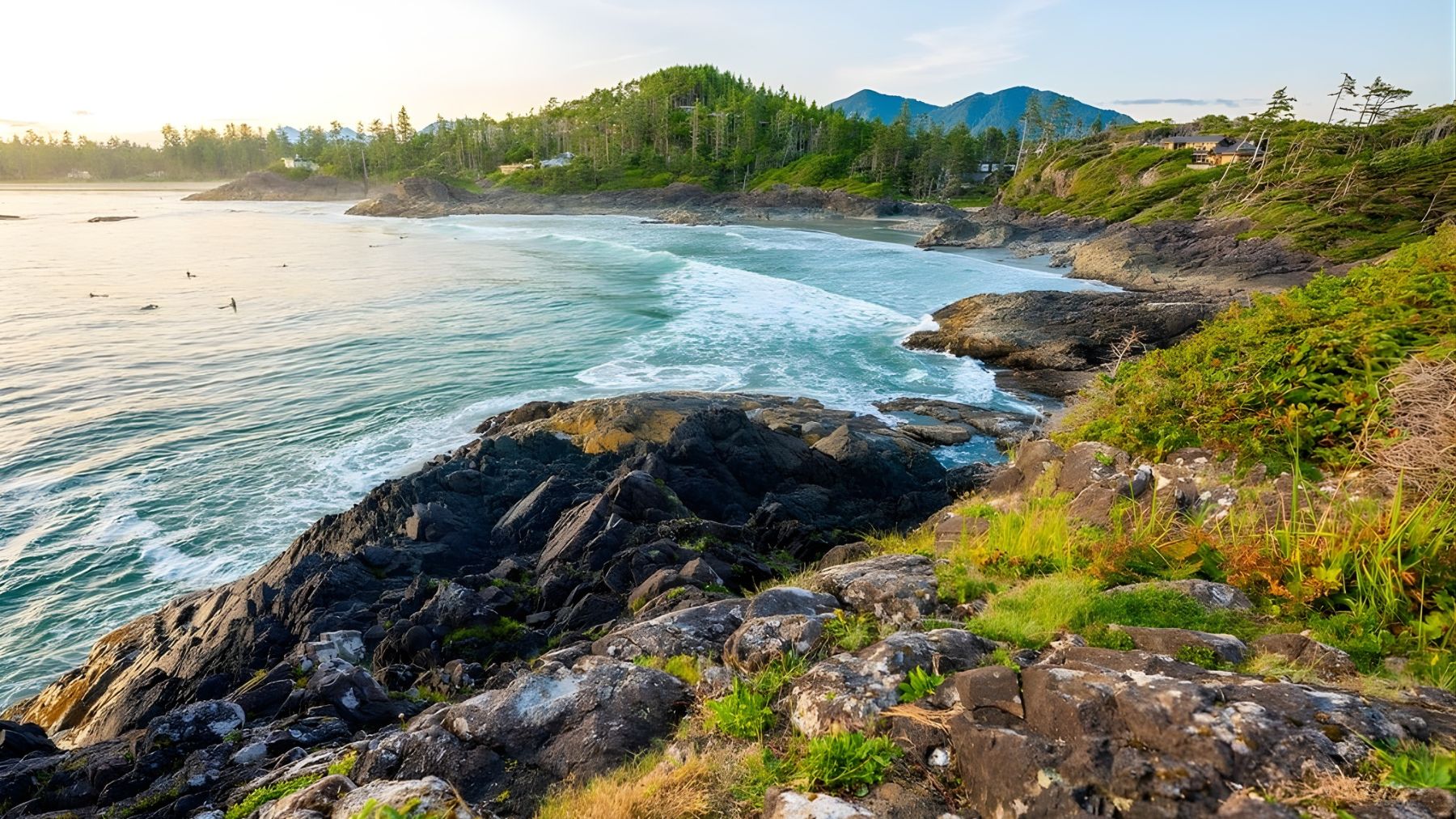 Rocky Pacific Northwest coastline with waves and forested headlands near Vancouver Island, where scientists study tearing in the Cascadia subduction zone.