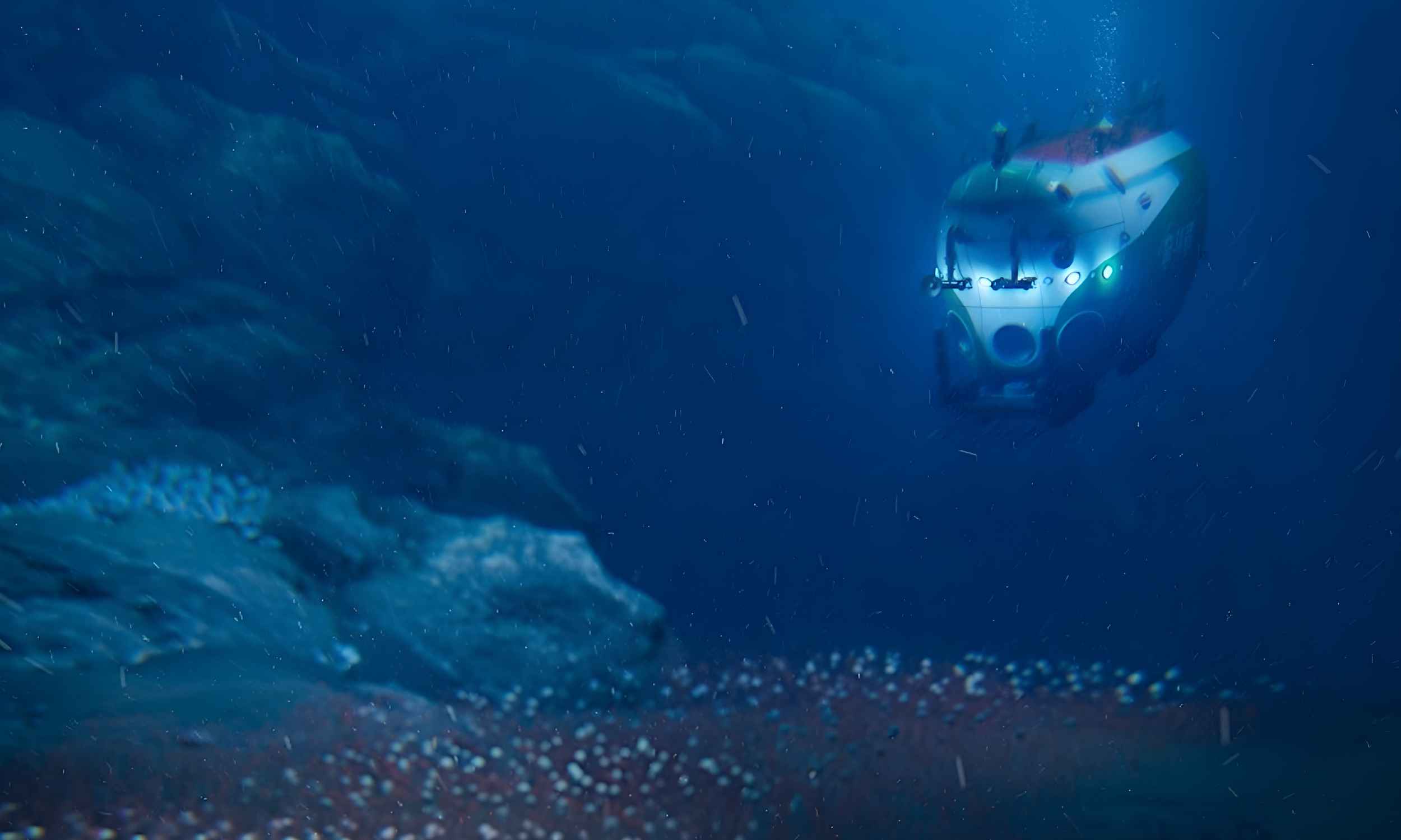 Clams and tube worms clustered around methane seeps on the seafloor nearly 10,000 meters below the ocean surface