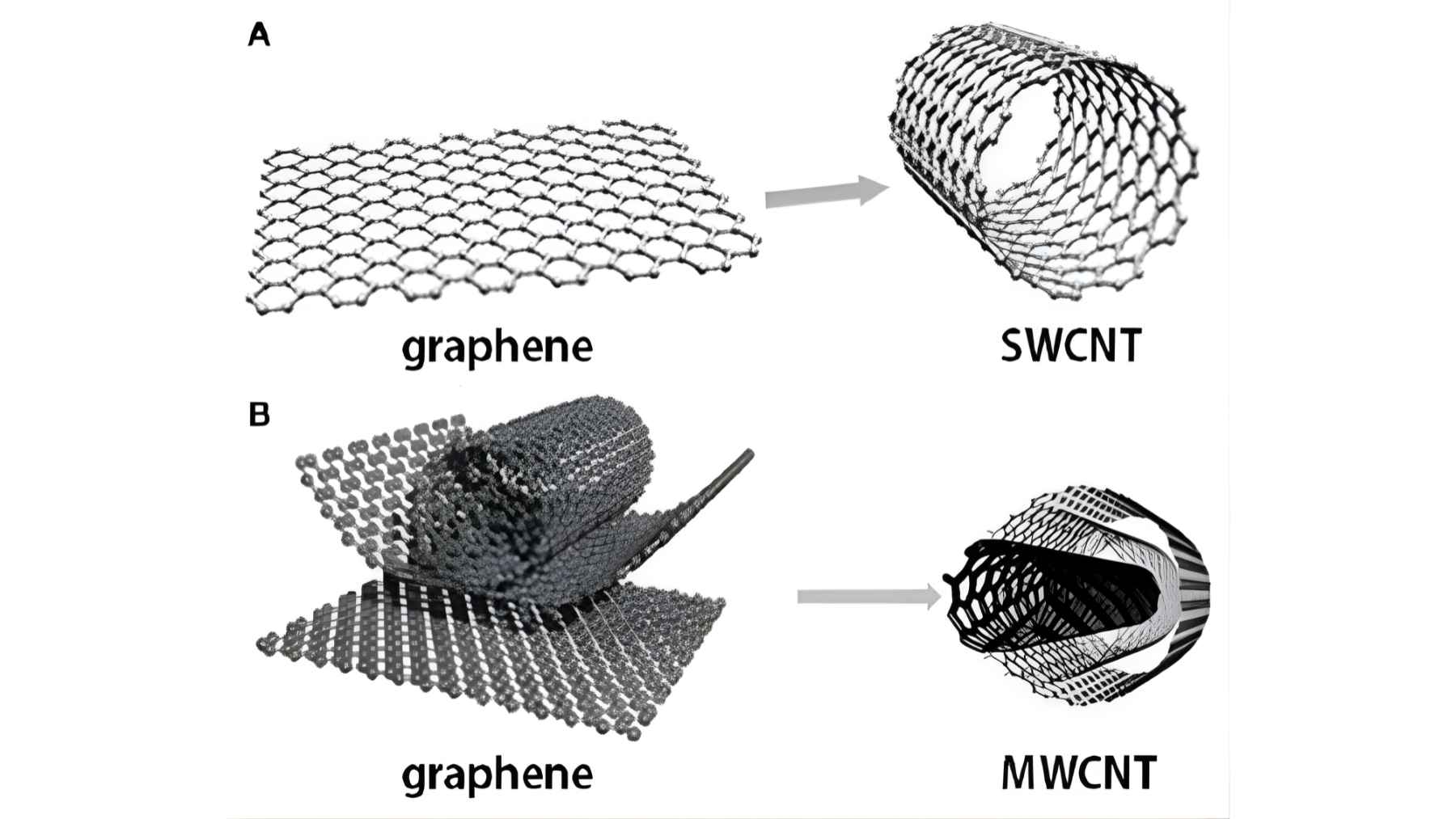 Diagram showing how graphene sheets form single-walled and multi-walled carbon nanotubes