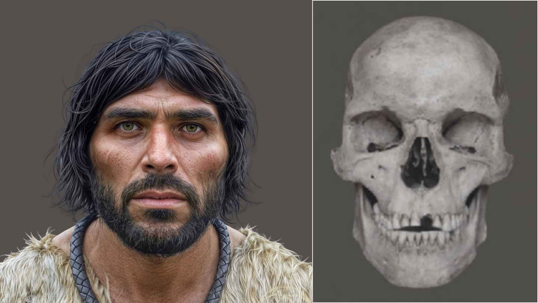 Hyper-realistic facial reconstruction of an Ice Age hunter-gatherer beside a frontal view of an ancient human skull.