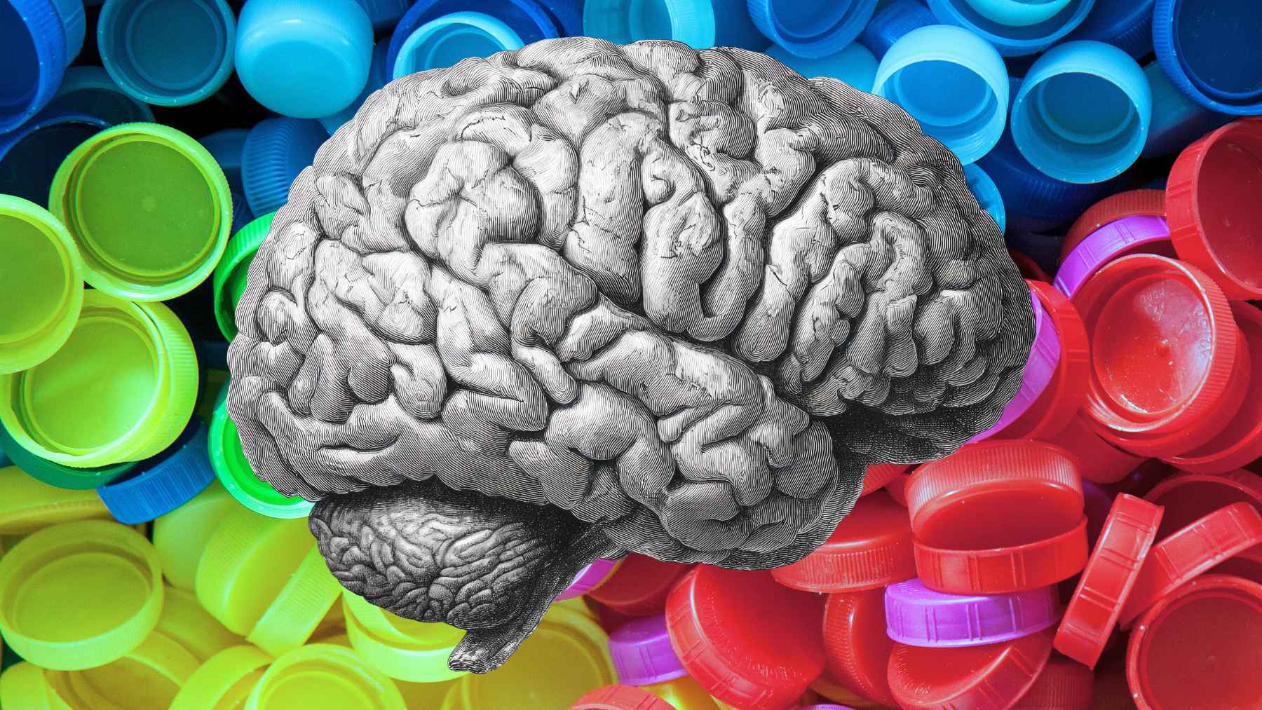 Microscopic view of microplastic particles detected in human brain tissue during a recent scientific study