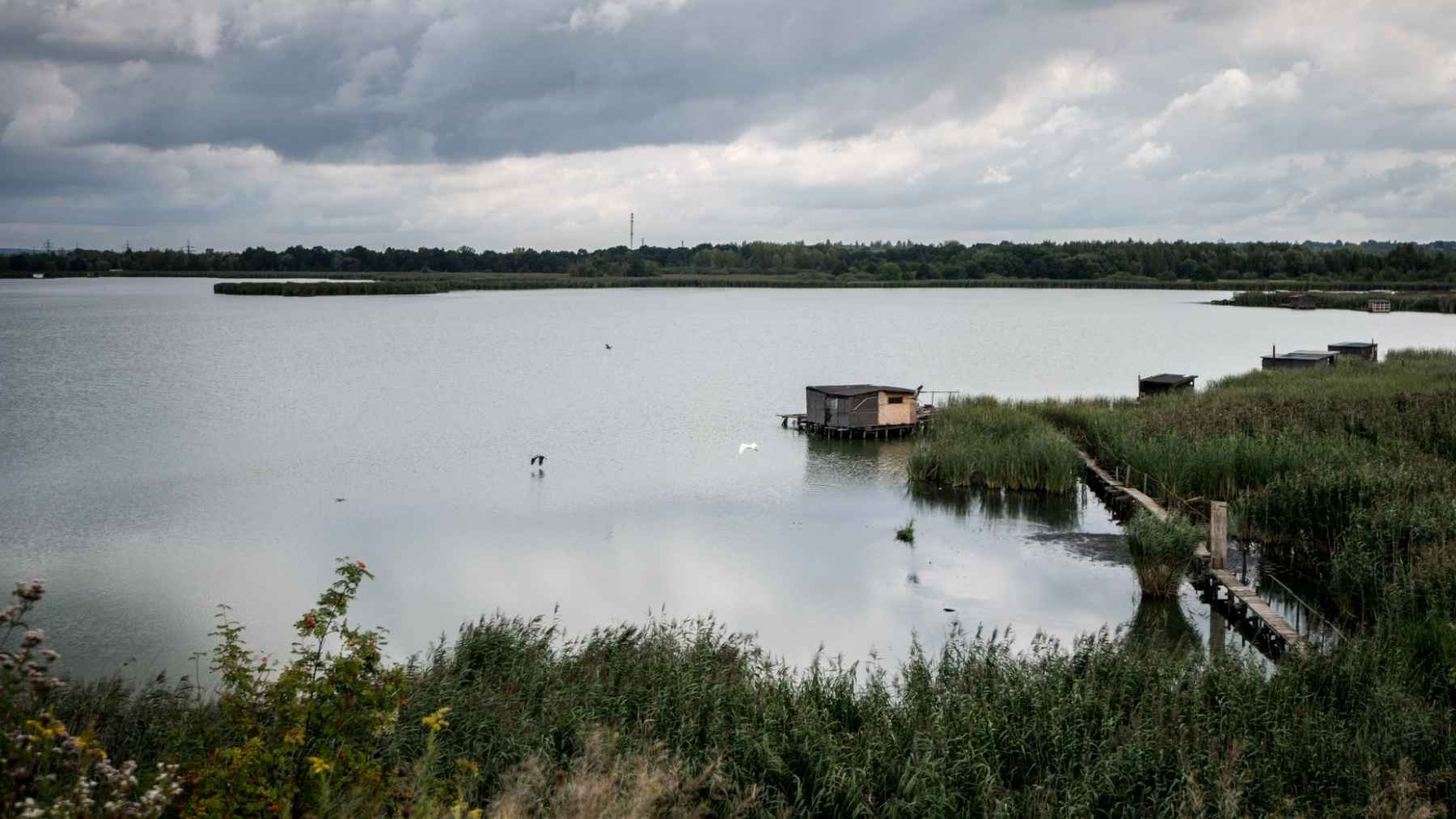 Stilt fishing huts connected by narrow wooden walkways on Heřmanický Pond in Ostrava, Czech Republic.