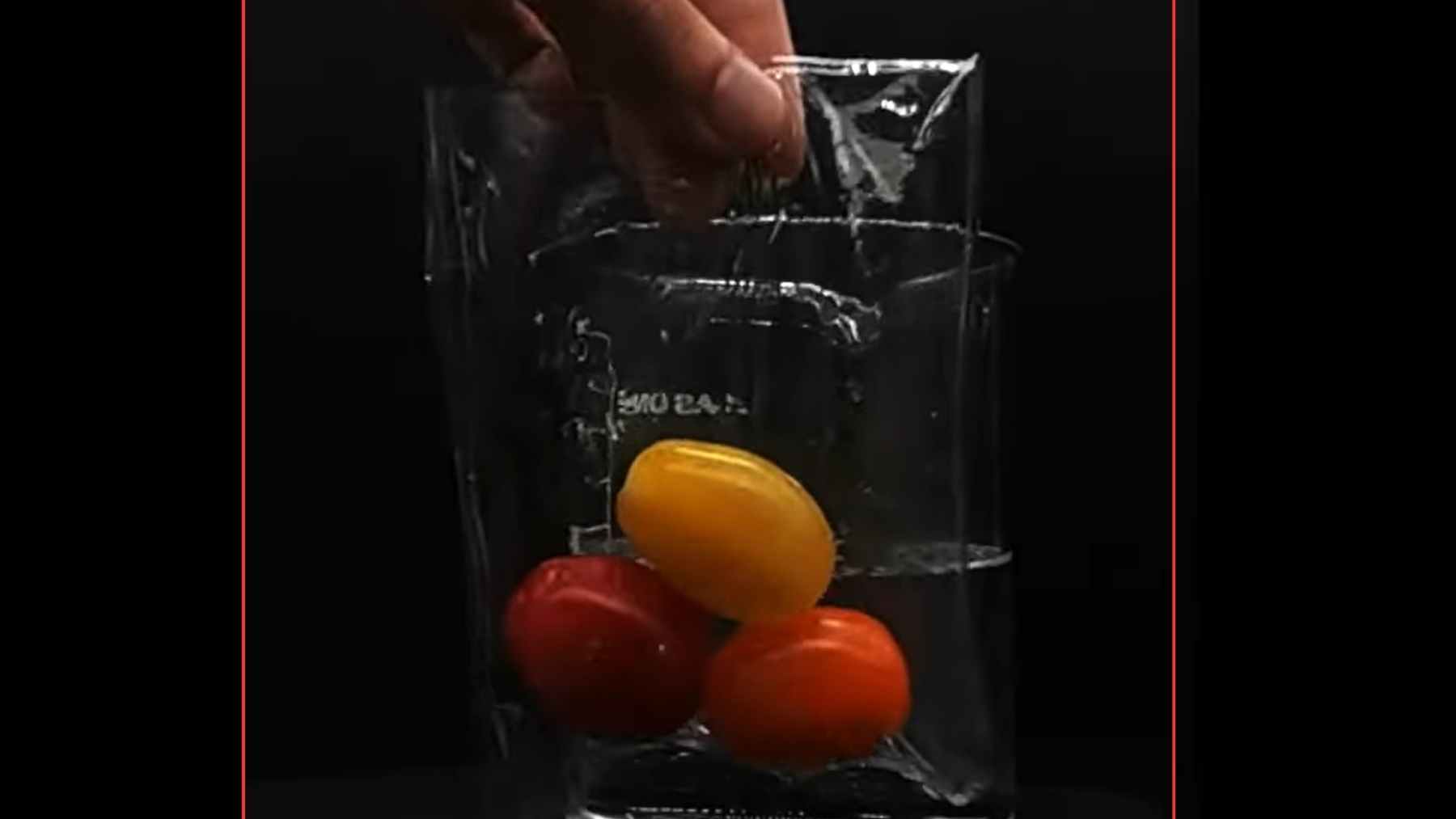 A hand lowers a clear biodegradable plastic bag with cherry tomatoes into a beaker of water
