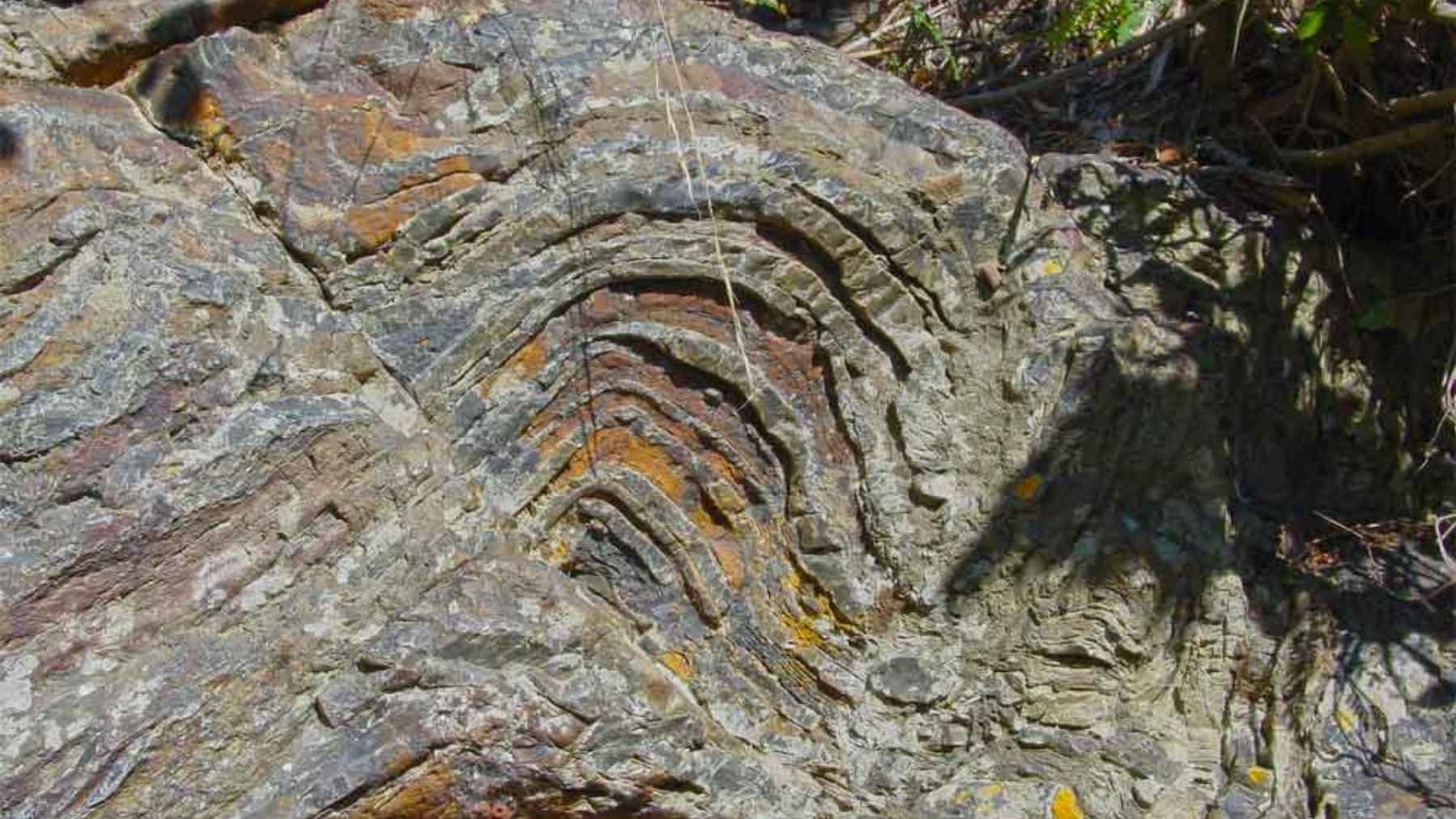Folded ancient rock layers in South Africa where researchers used AI to detect chemical traces linked to early microbial life.