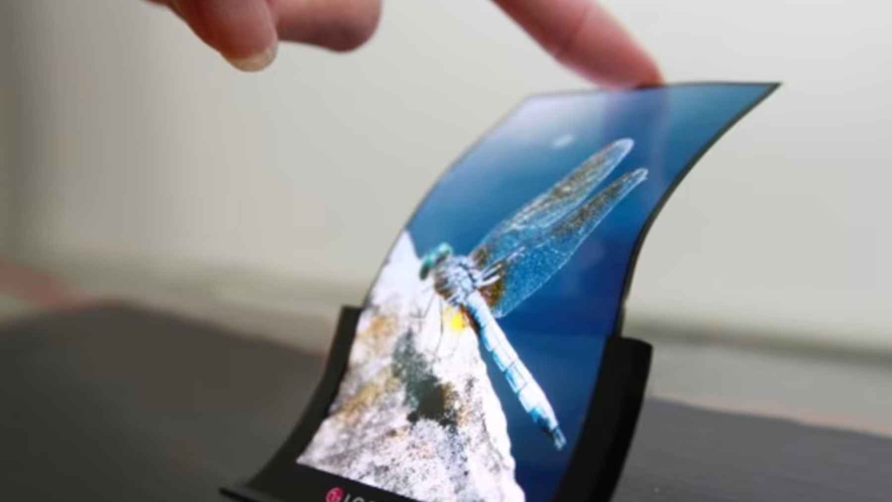 Flexible OLED display prototype stretching without losing brightness thanks to MXene-based transparent electrodes