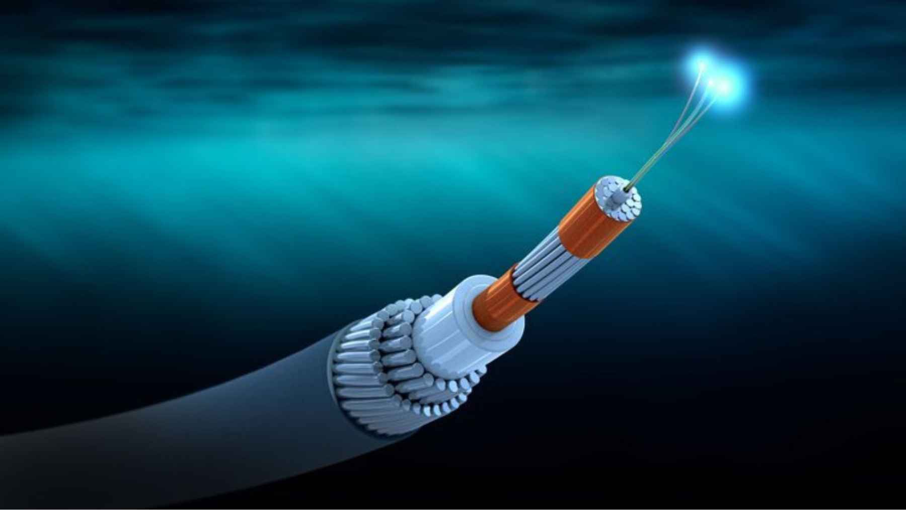 Submarine fiber optic cable system used for earthquake and whale detection beneath the ocean
