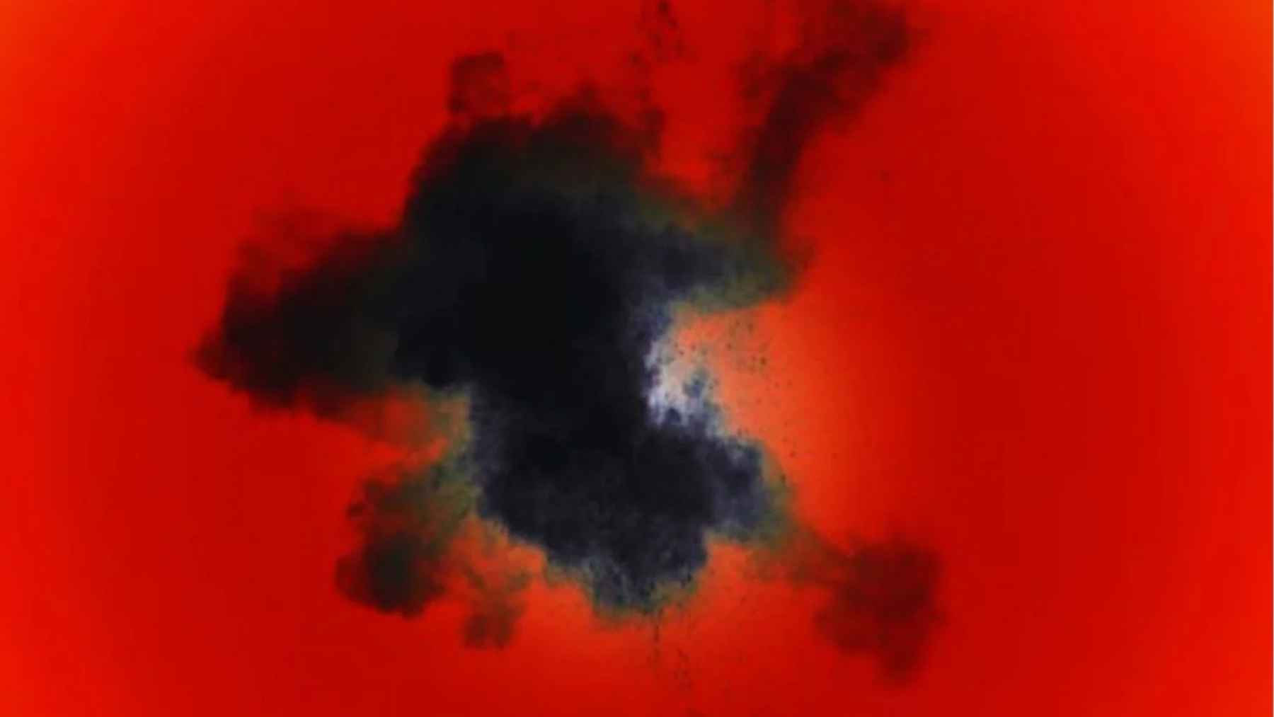 Microscopic image of Sukunaarchaeum mirabile, a minimal genome archaeon discovered in marine plankton