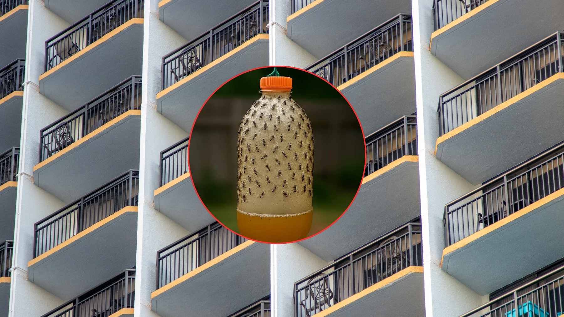 Illustration of a bottle trap hung on an apartment balcony to deter mosquitoes and flies