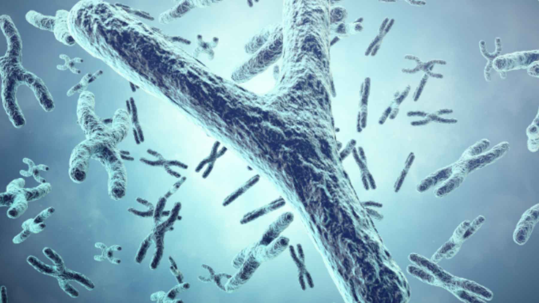 ECONews 1 Microscopic 3D illustration of Y chromosomes showing genetic changes linked to higher cardiovascular risk in older men