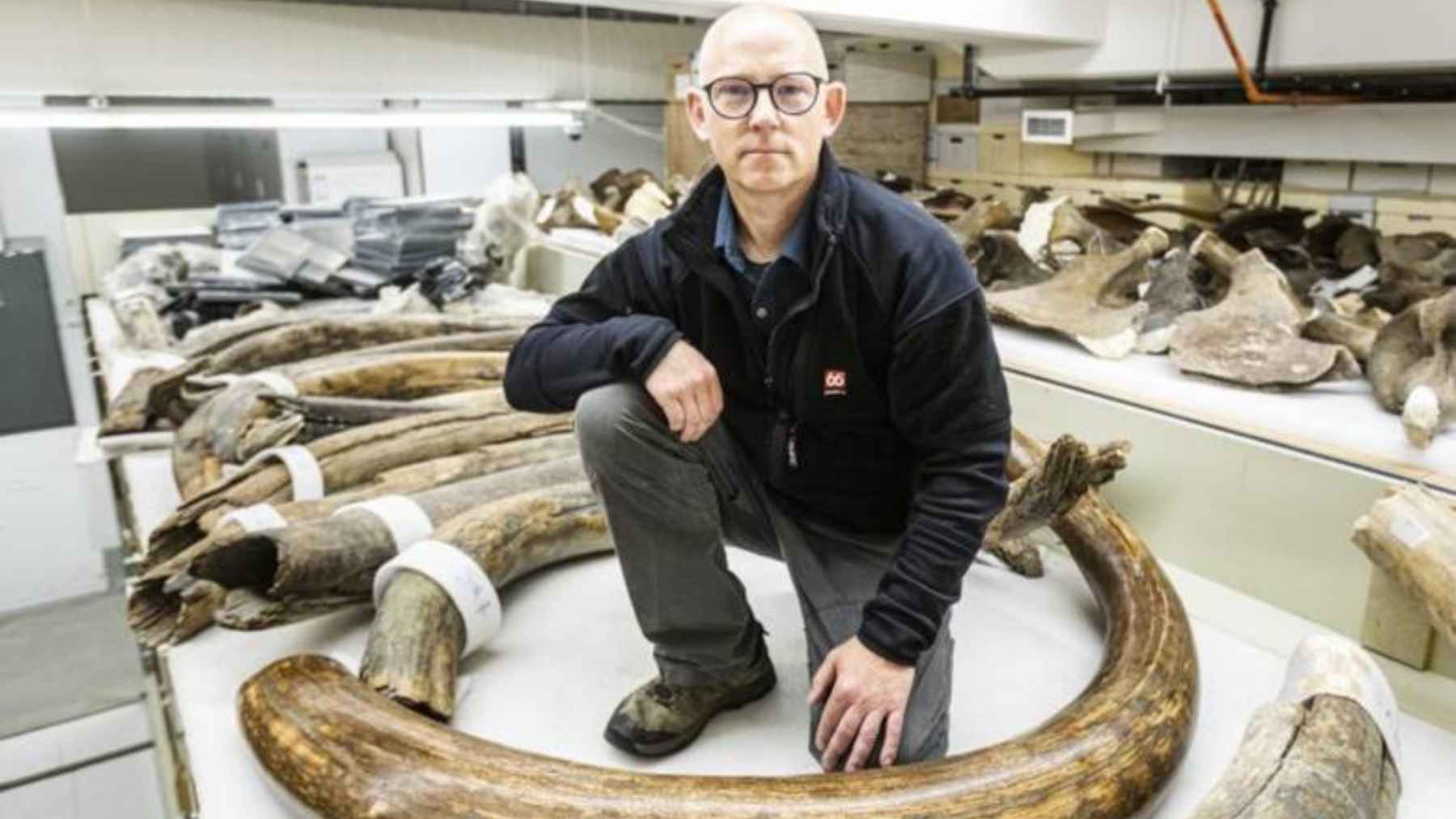 Fossil bone disks once labeled as mammoth vertebrae later identified as ancient whale bones in Alaska