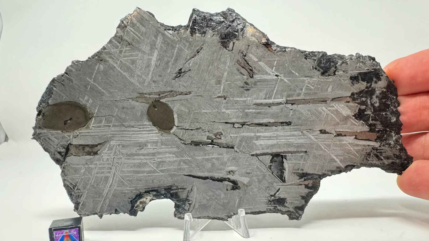 Polished slice of the Aletai iron meteorite showing distinctive Widmanstatten crystal patterns formed in the early solar system.