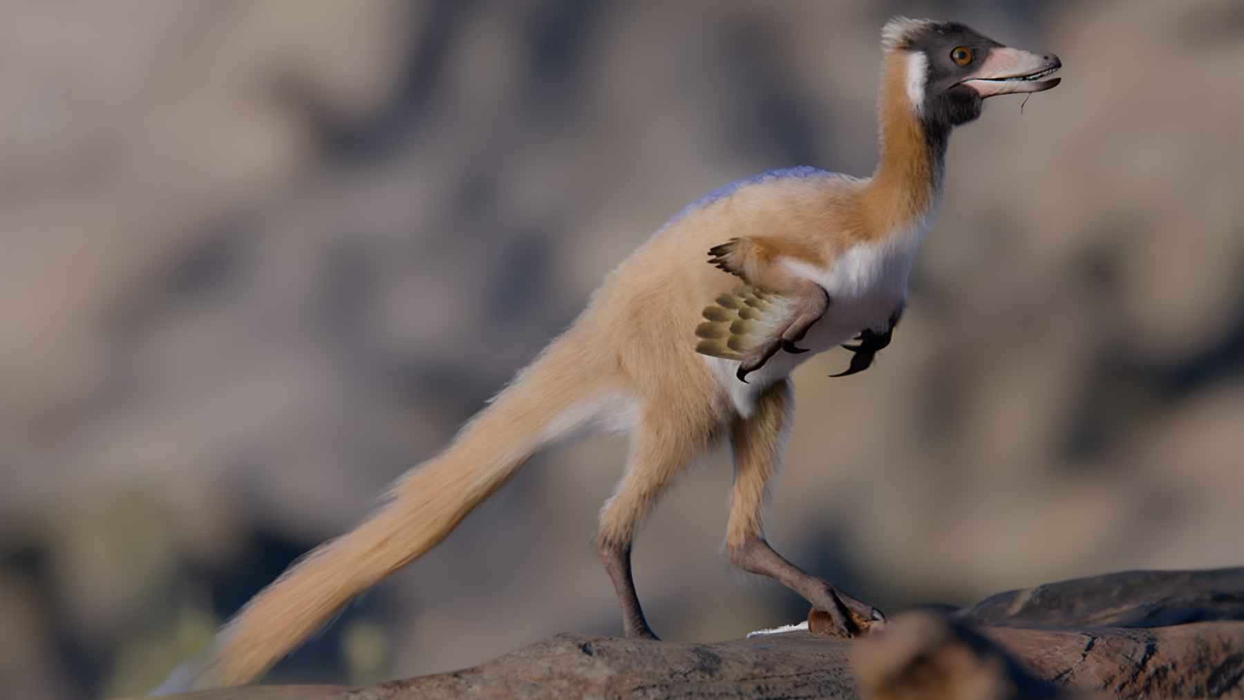 Illustration of Alnashetri, a tiny bird-like dinosaur from Patagonia, showing the species that is reshaping alvarezsauroid history