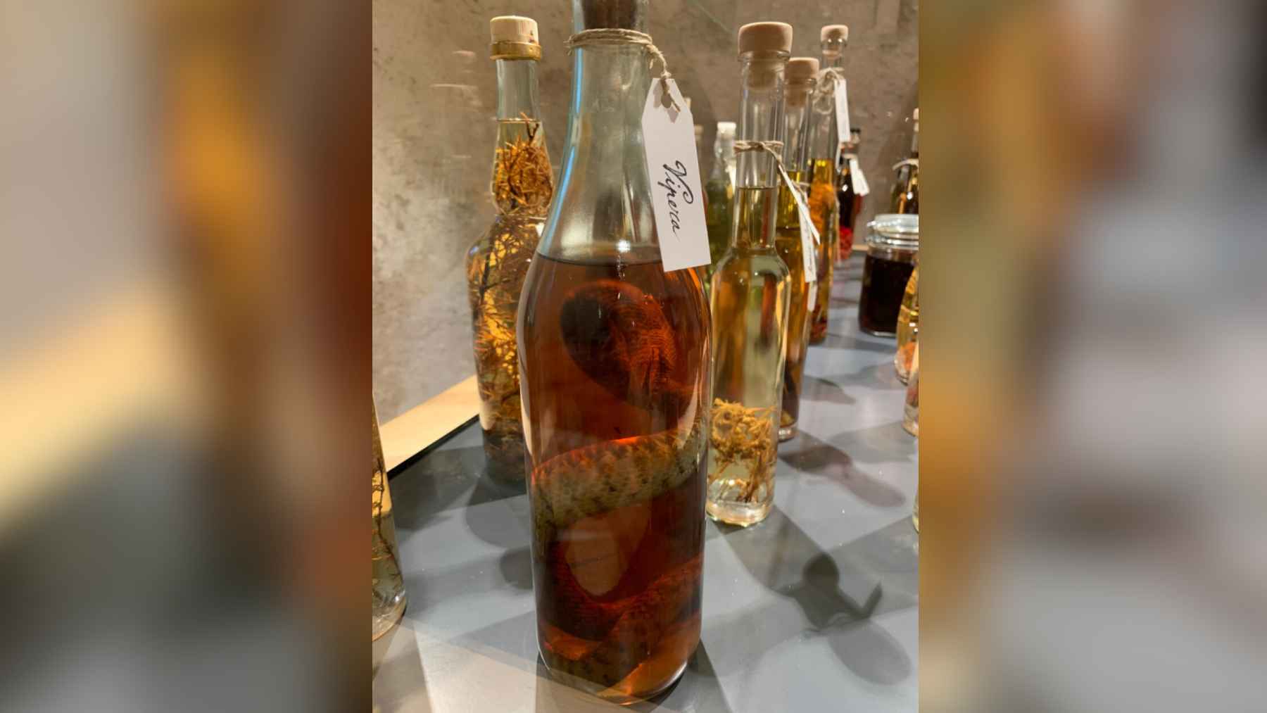 Bottle of alpine viper grappa with a preserved snake inside on display