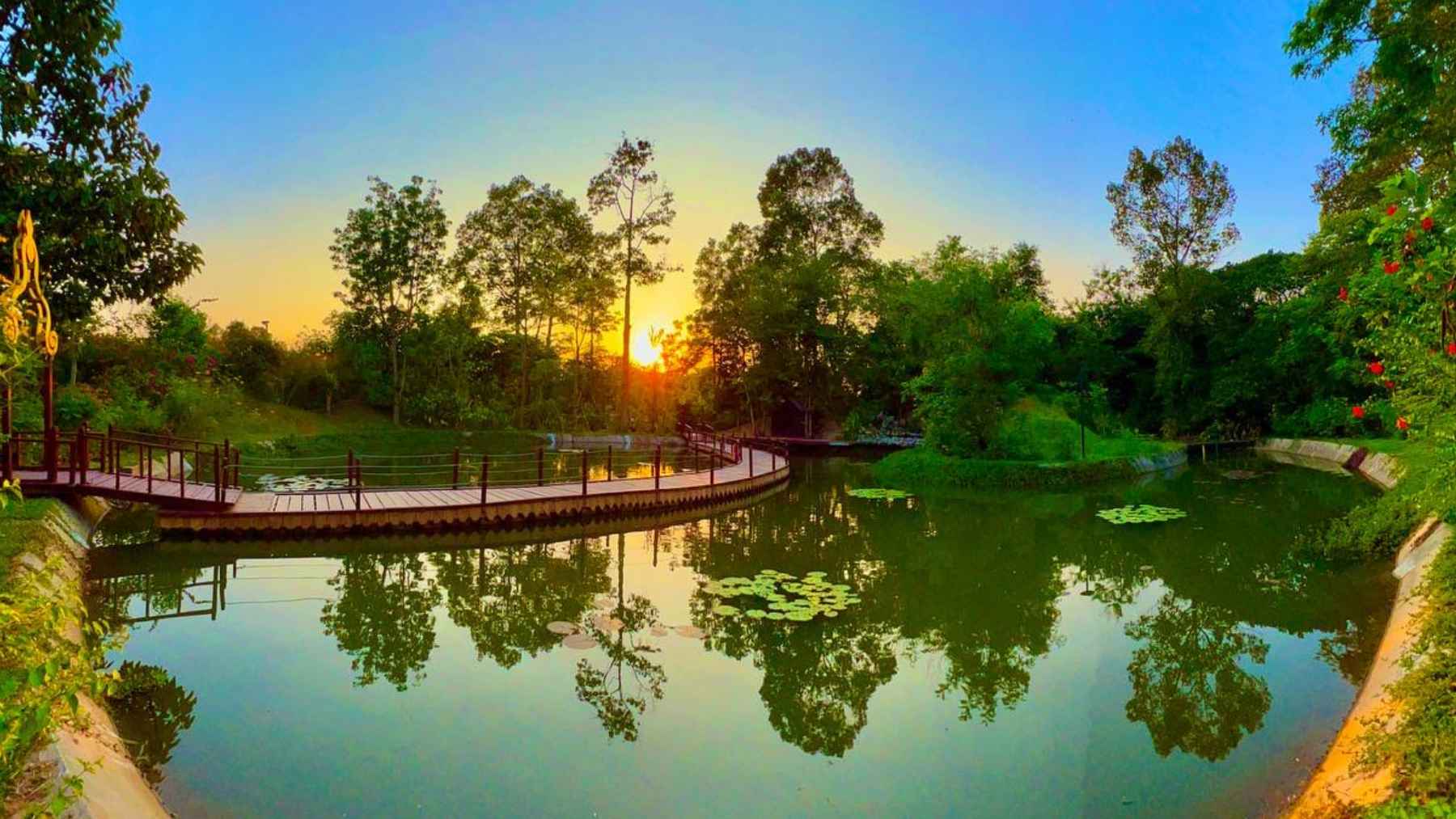 Lush greenery and landscaped paths inside the Angkor Botanical Garden in Cambodia