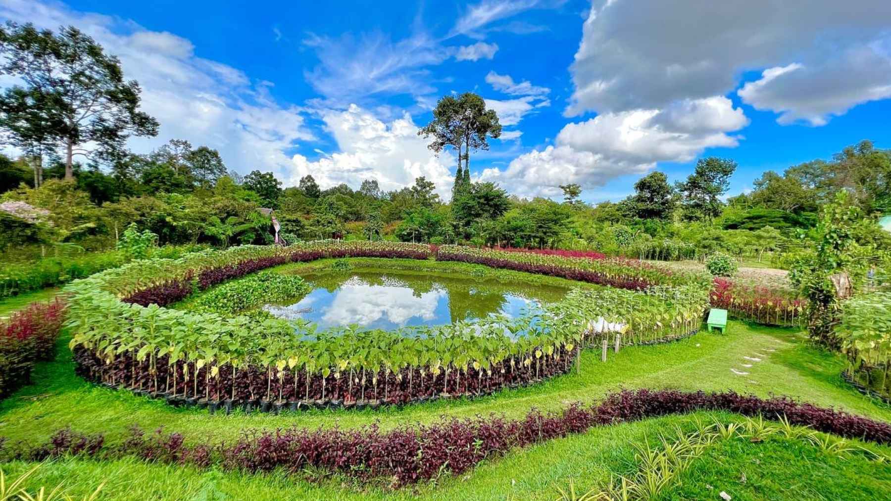 Circular pond surrounded by lush plants at Angkor Botanical Garden in Cambodia