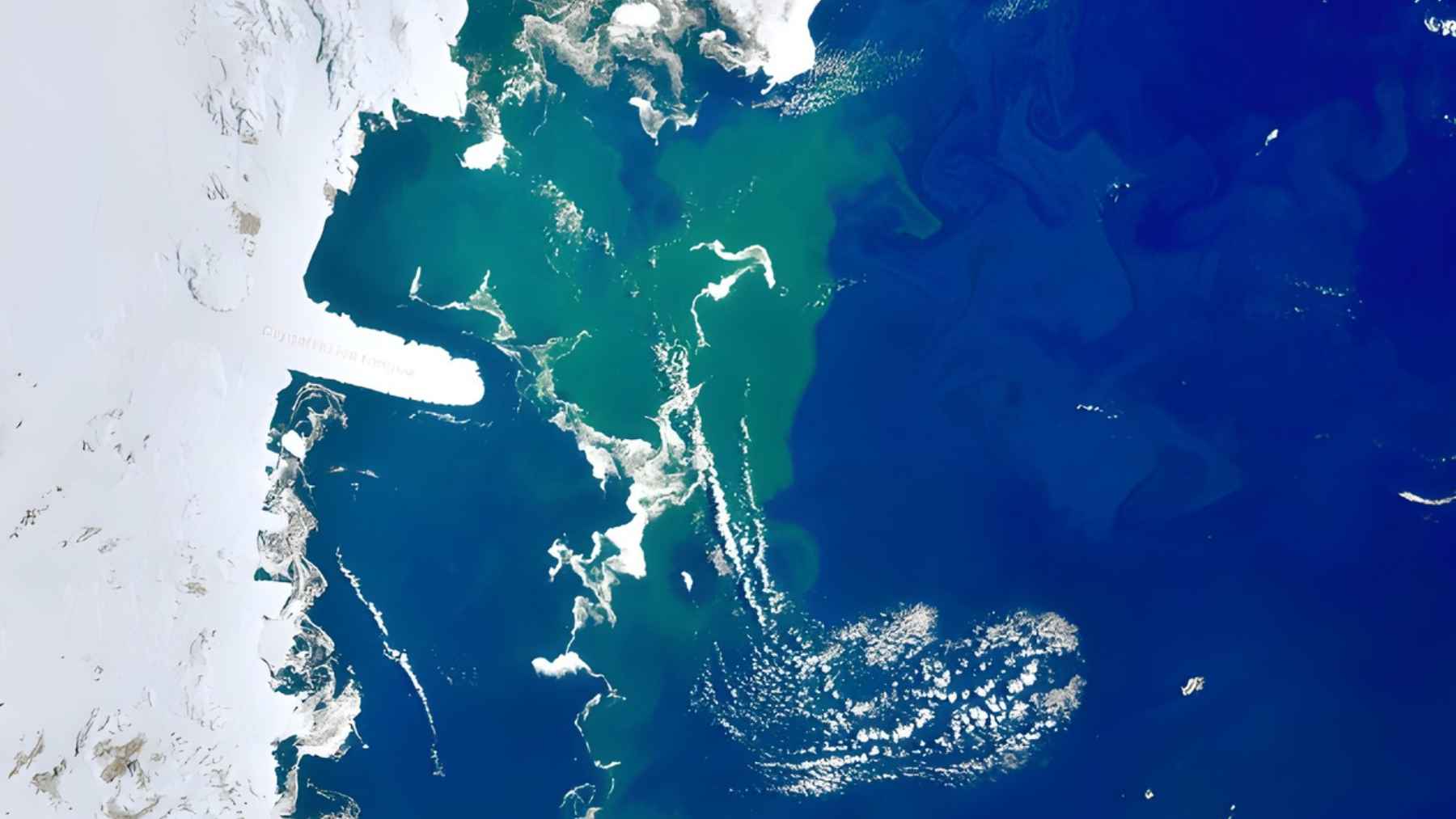 Satellite view of a large phytoplankton bloom in Antarctic waters, illustrating research linking seafloor earthquakes to surface marine life.