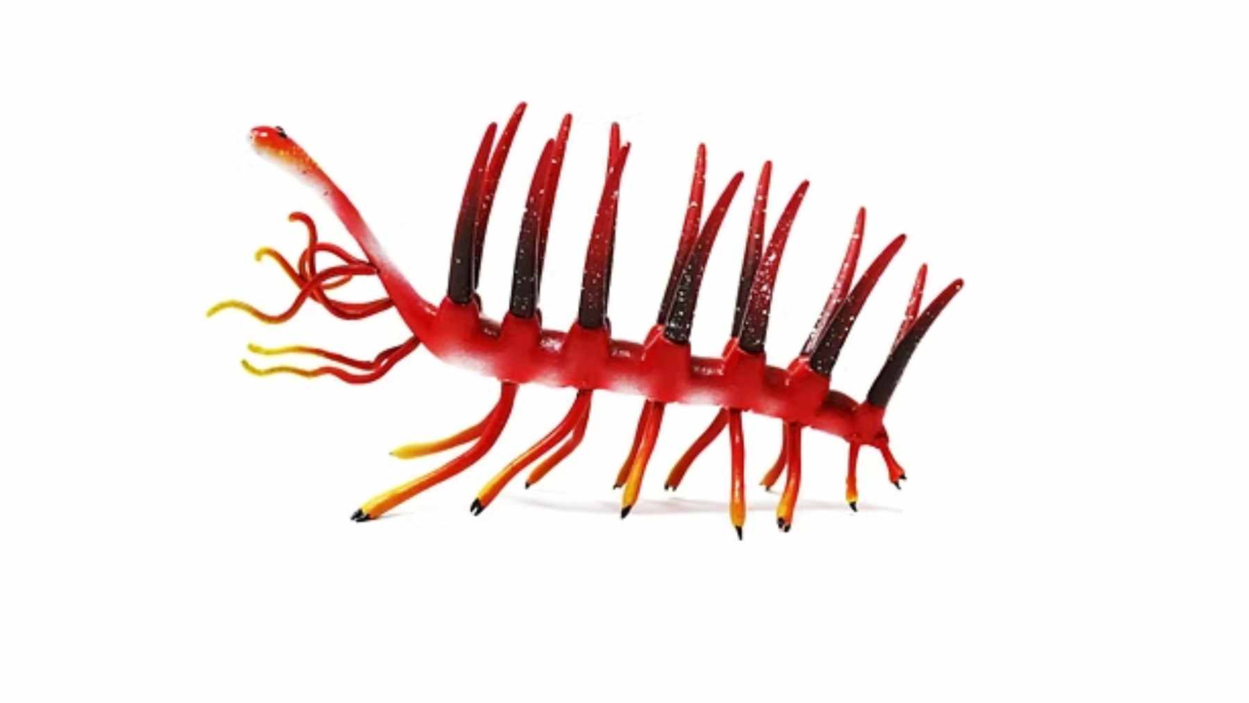 A high-resolution macro photograph of a Hallucigenia fossil from the Burgess Shale, showing its signature spikes and tubular body.