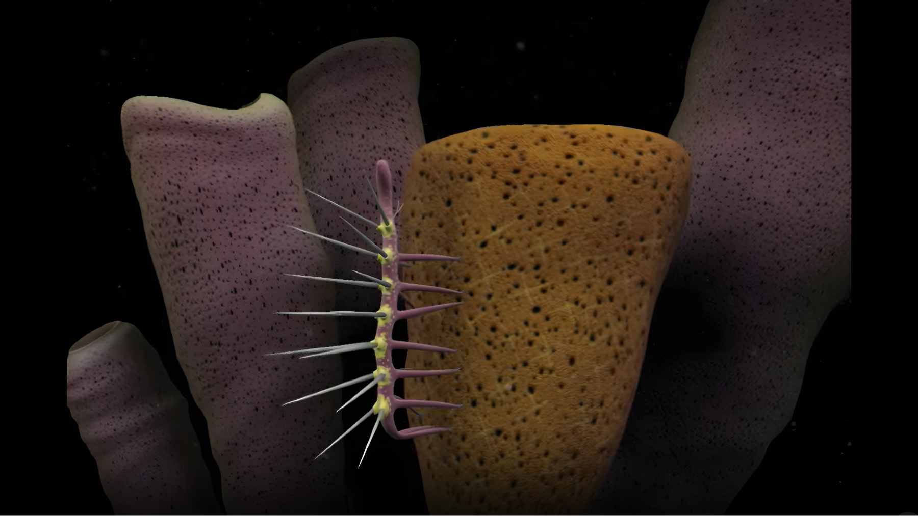 A high-resolution macro photograph of a Hallucigenia fossil from the Burgess Shale, showing its signature spikes and tubular body.