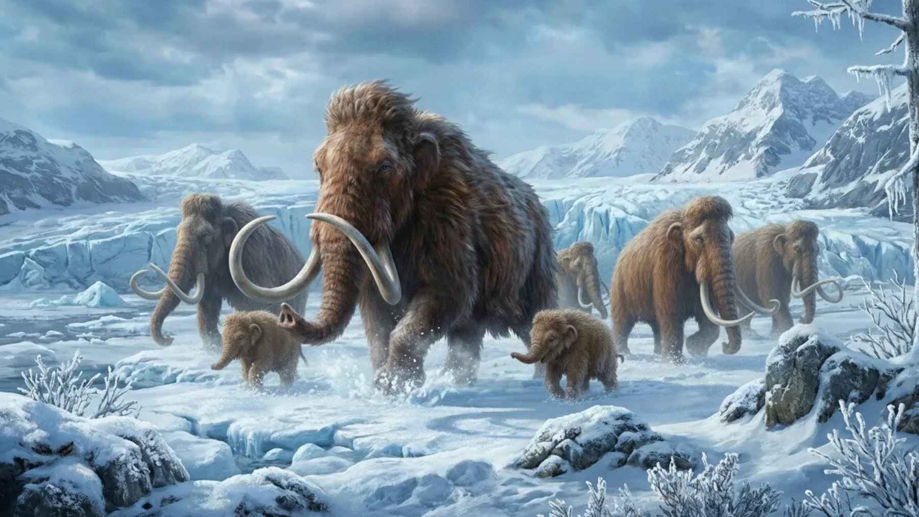 Illustration of a herd of woolly mammoths crossing a frozen prehistoric landscape with glaciers and snow-covered mountains