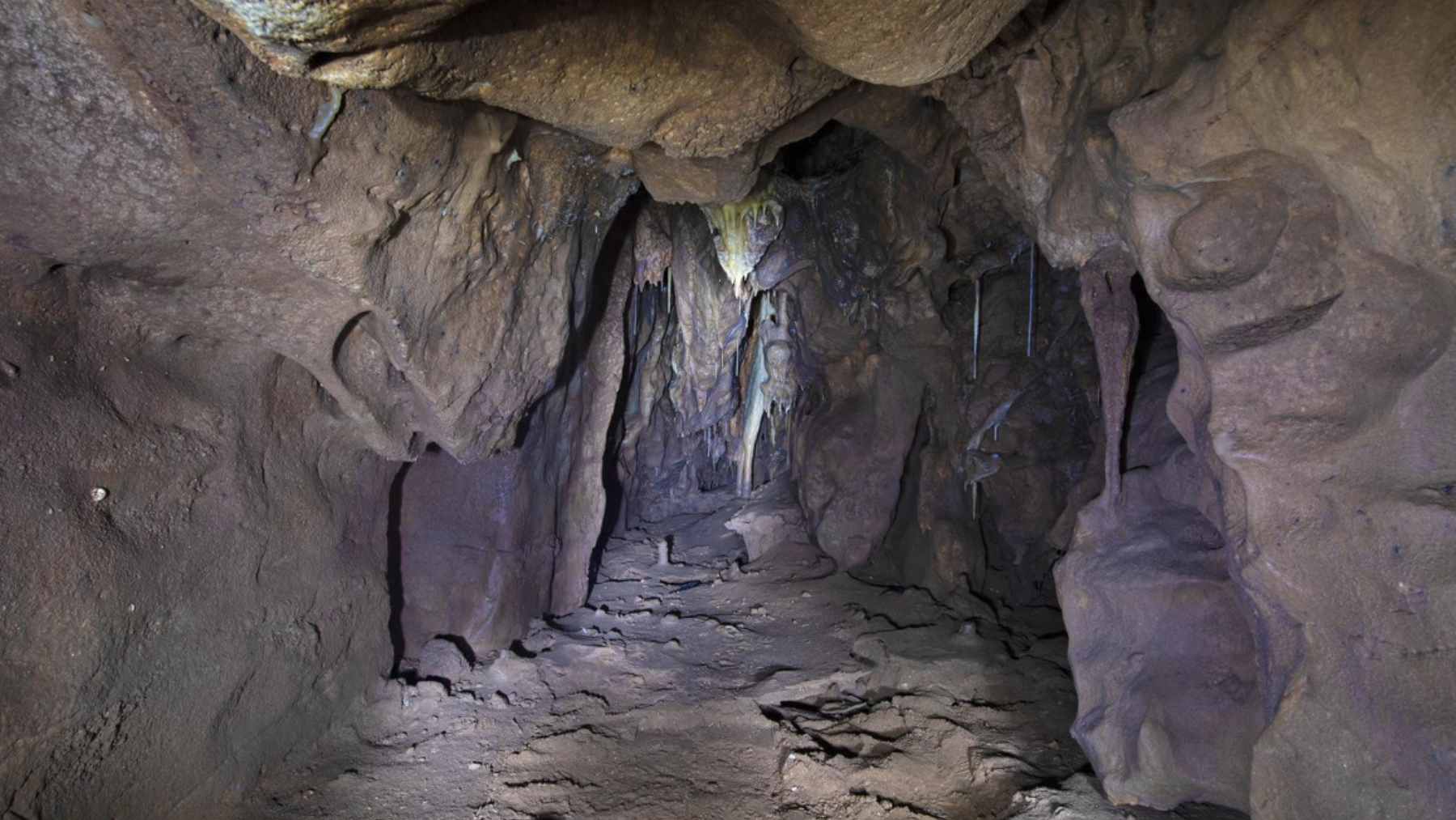 Interior of the newly discovered 13-meter chamber at the back of Vanguard Cave in Gibraltar, showing ancient sediment layers and rock formations.