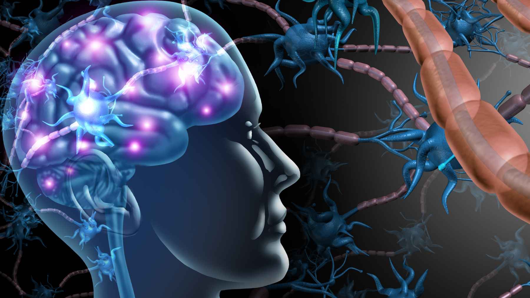 Scientists identify OTULIN as a key switch in brain aging, showing it can shut down tau linked to Alzheimer’s disease