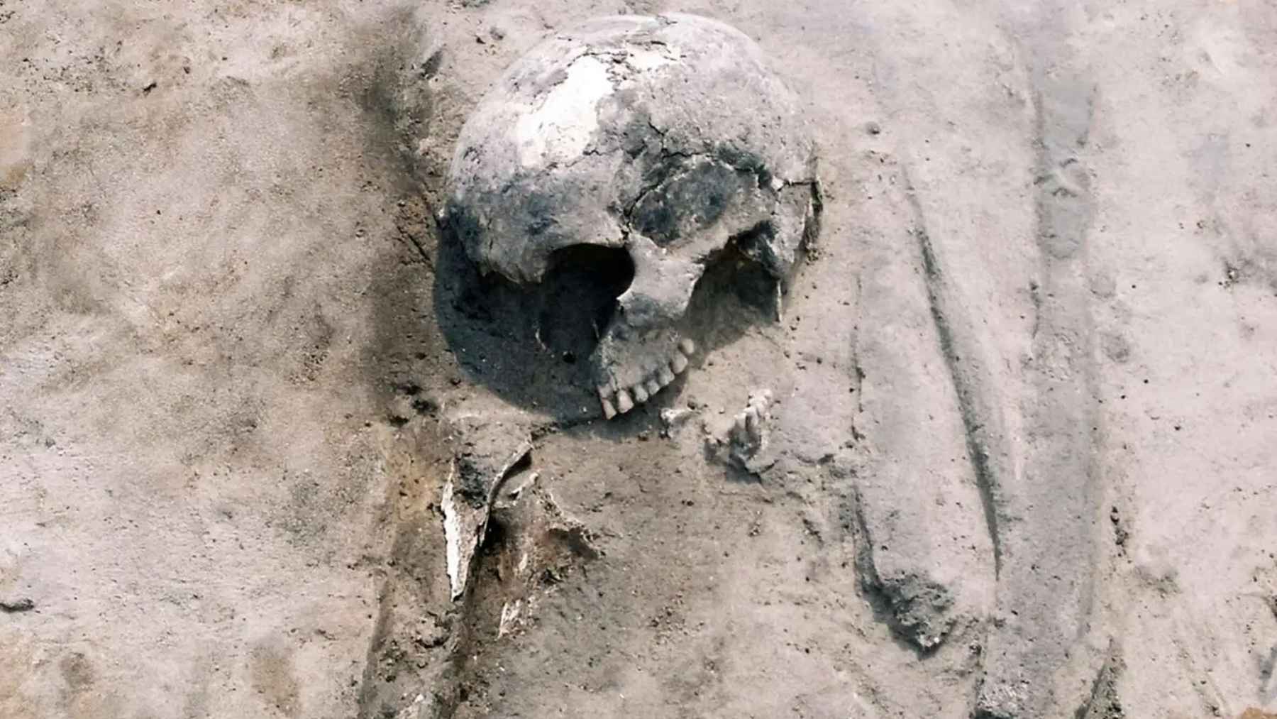 Ancient human bones from Poland used in isotope analysis to reconstruct diet and track the rise of millet